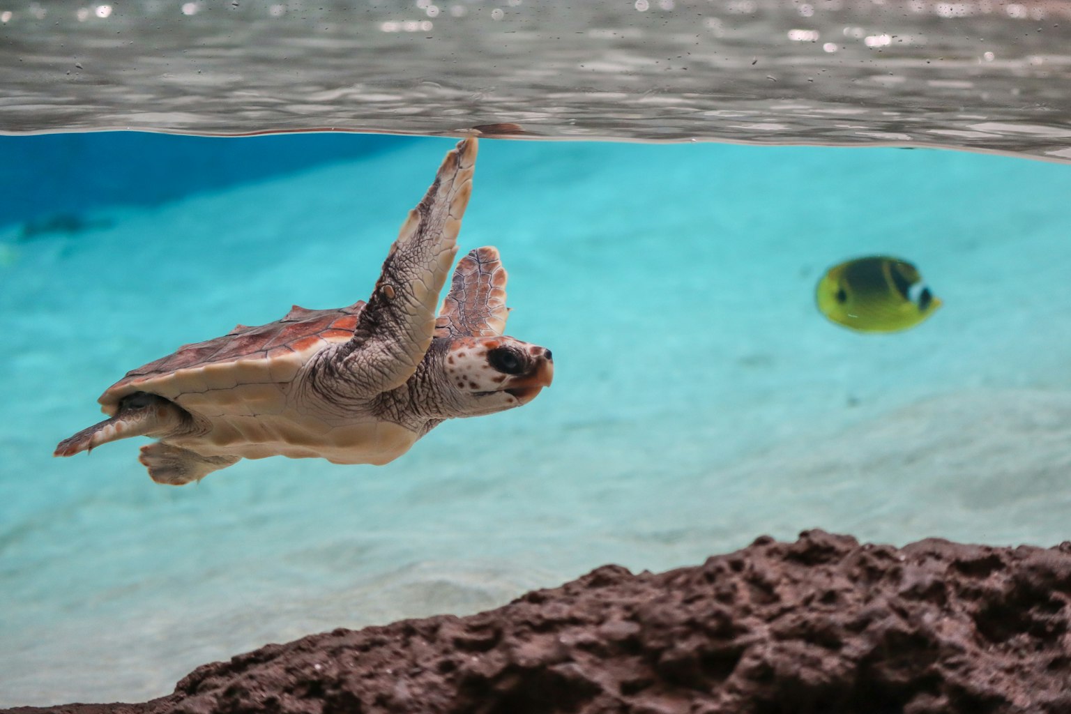 photo-beHLziuh3FbP9mqDRXlq-image