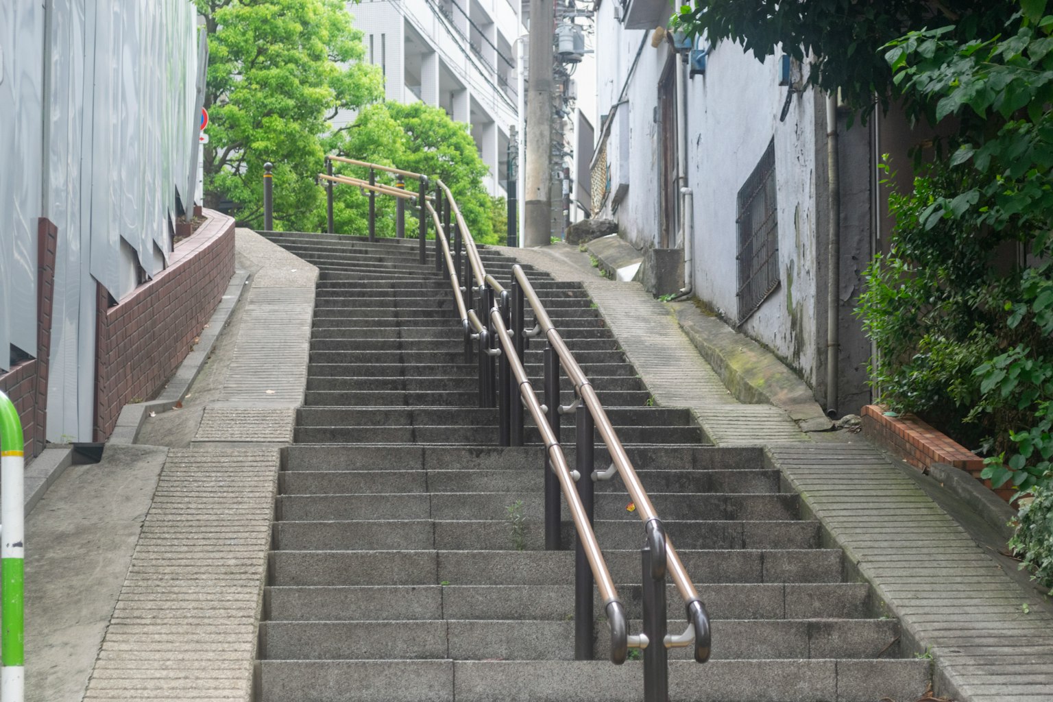 被绿植包围的混凝土楼梯和扶手