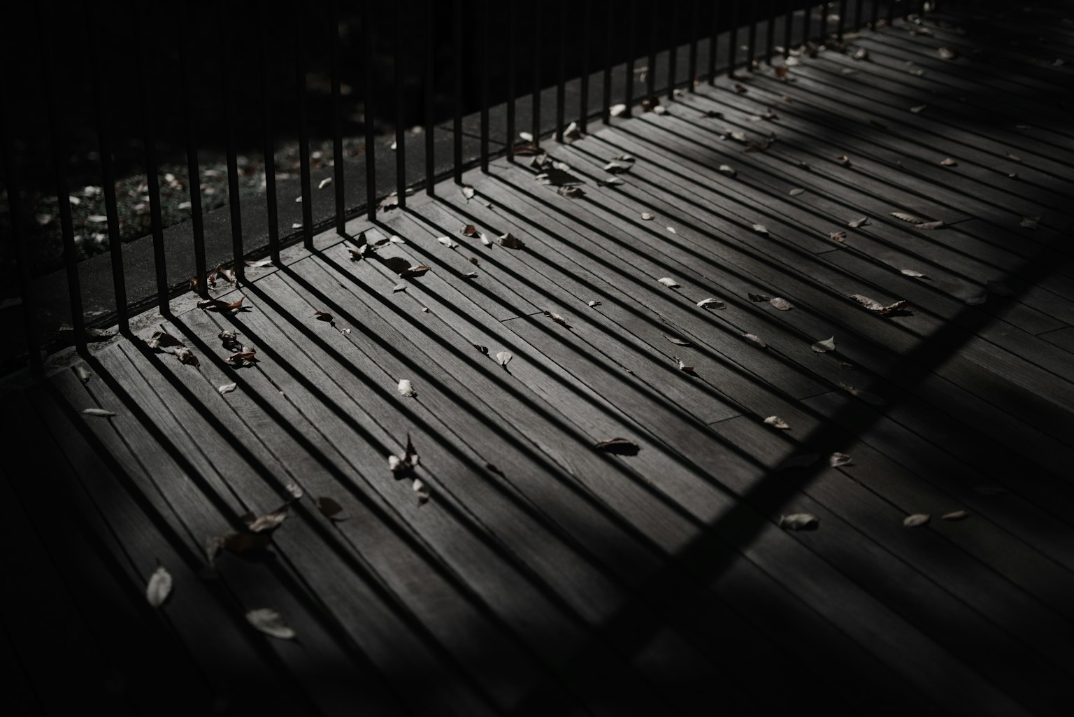 Deck in legno con foglie sparse in scarsa illuminazione