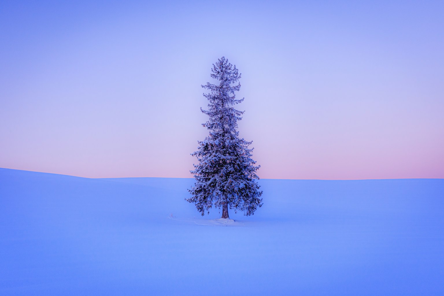 A solitary tree stands in a snow-covered landscape under a beautiful sunset sky