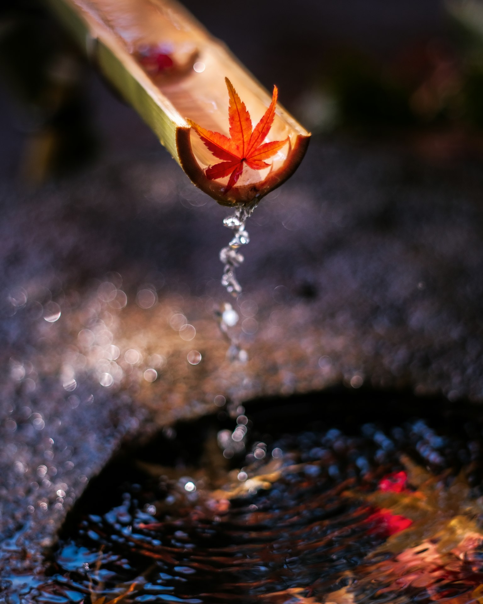 竹制水槽，流动的水和红枫叶