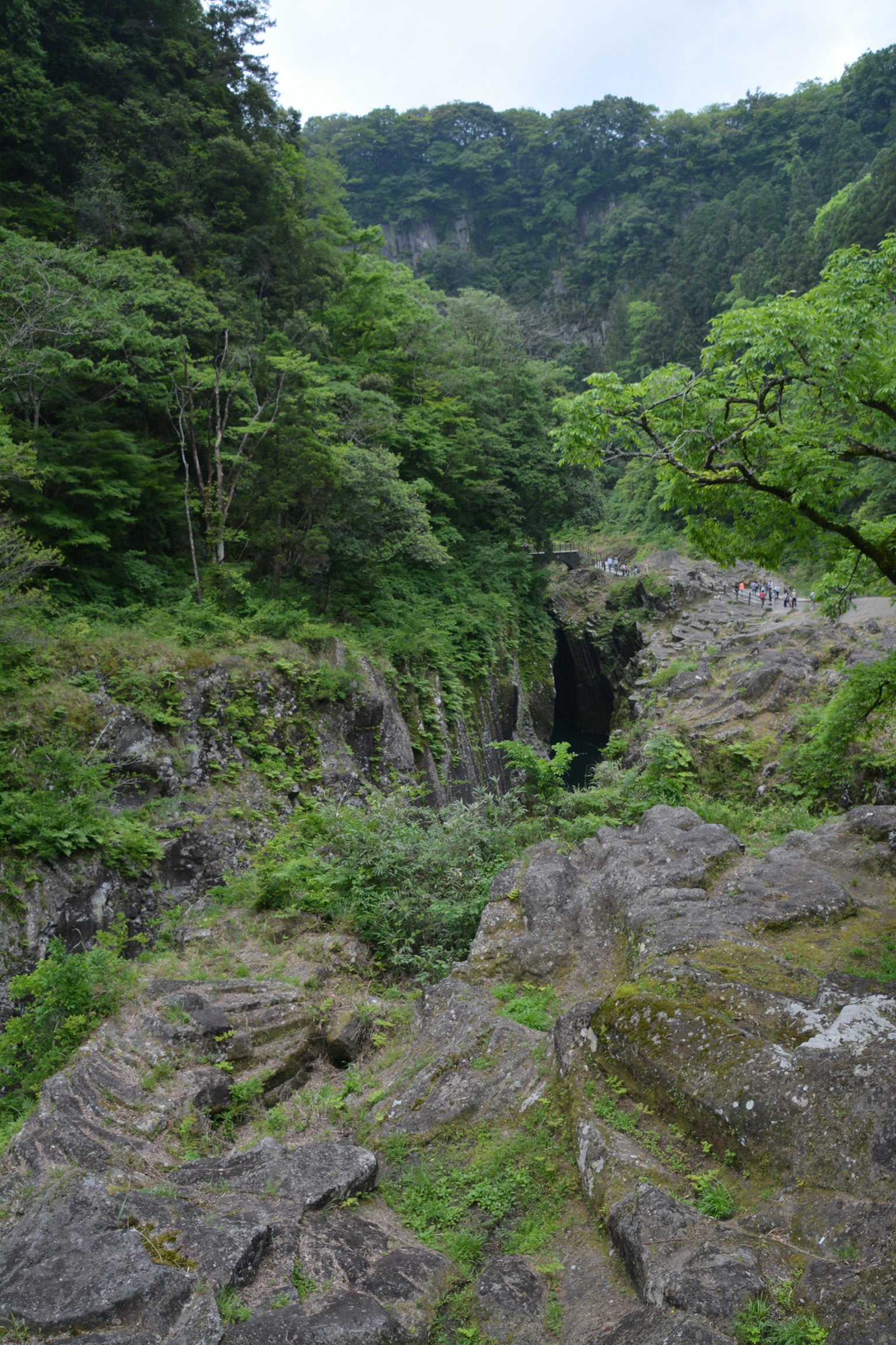 Vue panoramique d'un canyon entouré d'une végétation luxuriante et de terrains rocheux