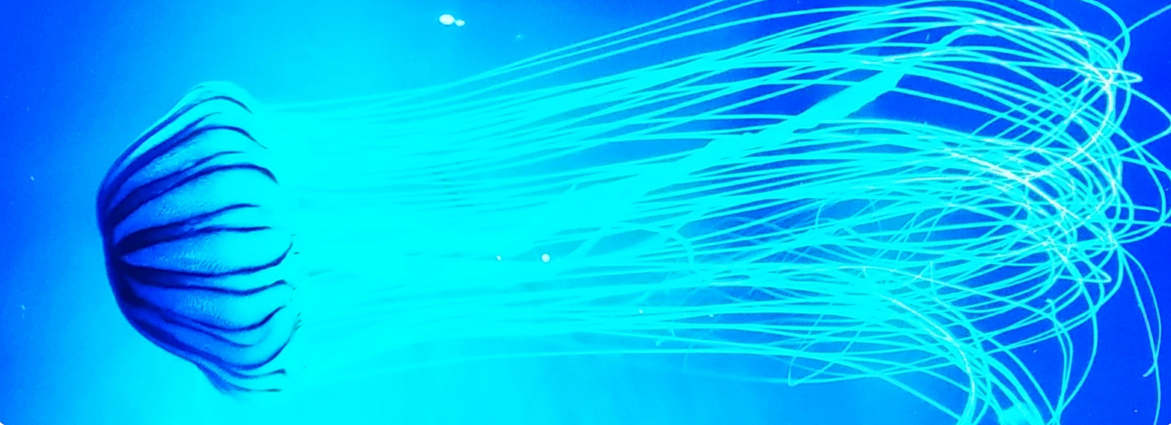 représentation numérique abstraite de traînées lumineuses bleues en spirale