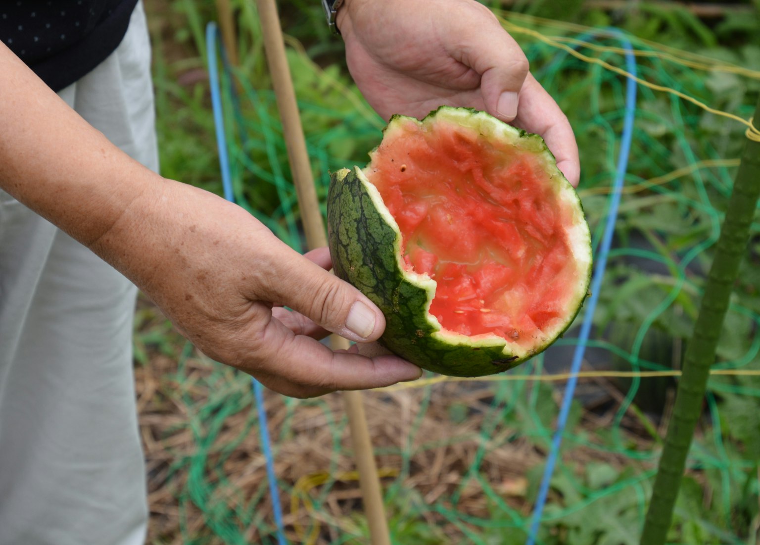 photo-bfLLFIInqgSU1CeZmTYj-image