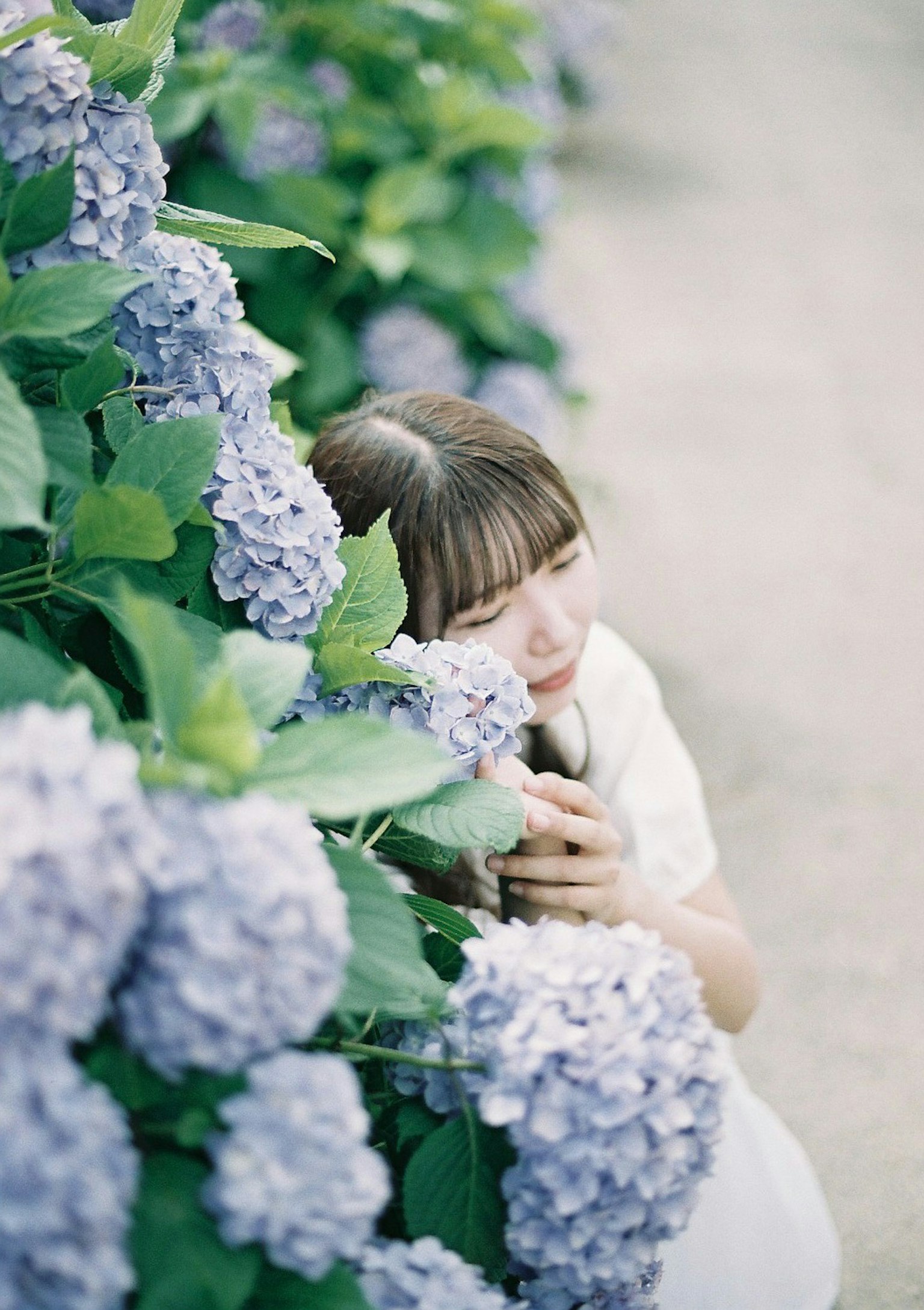 Ritratto di una ragazza tra fiori di ortensia con colori tenui e un'atmosfera serena