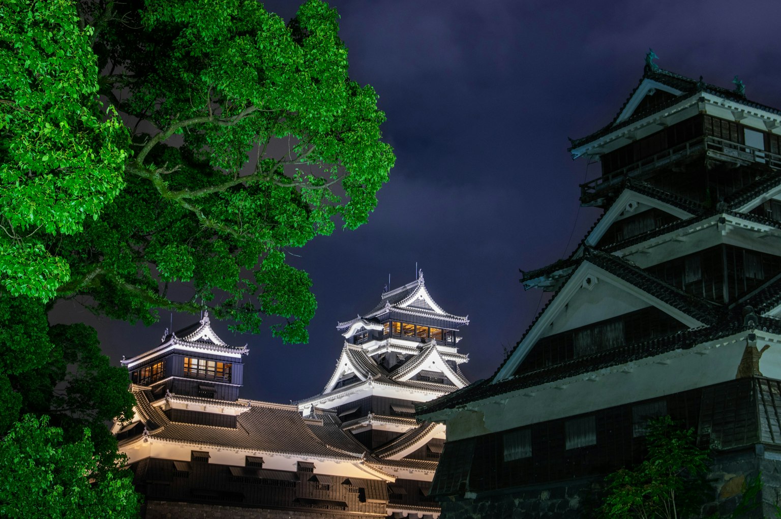 Vista bellissima del castello di Kumamoto illuminato di notte con alberi verdi lussureggianti