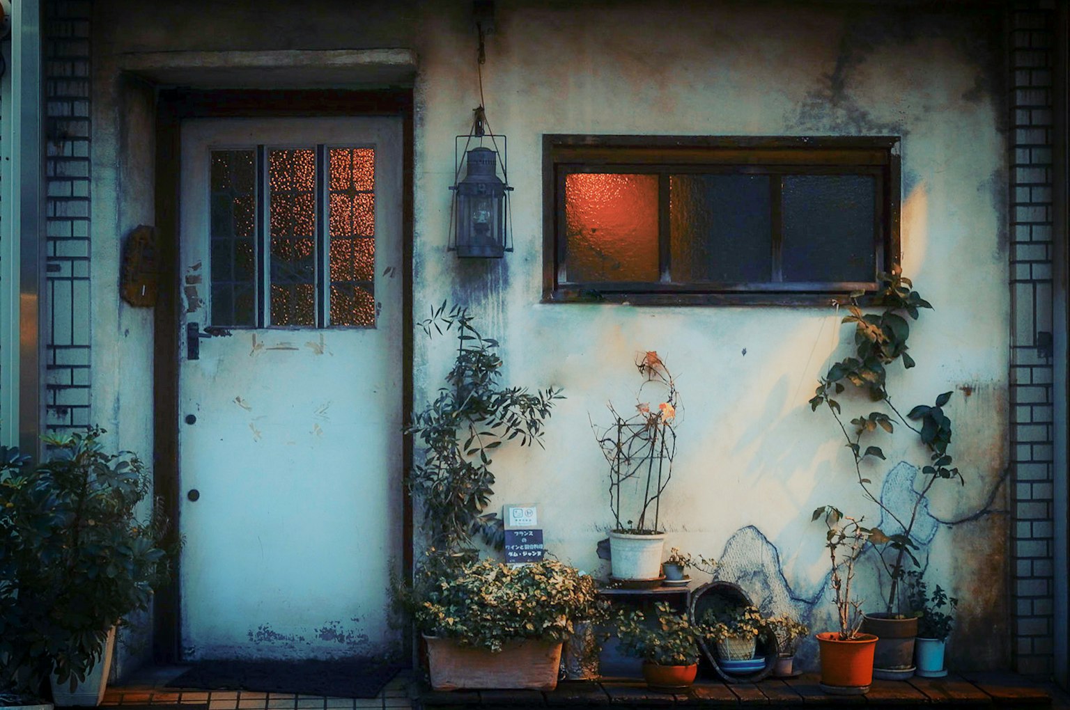 Entrada de una casa vintage con una puerta blanca y una ventana rodeada de plantas tonos cálidos