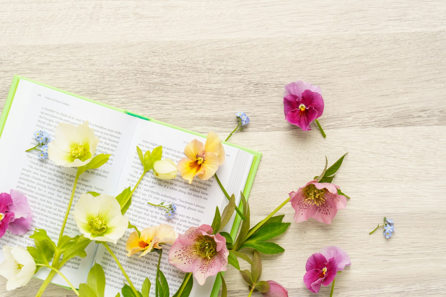 Fiori colorati sparsi su un libro aperto
