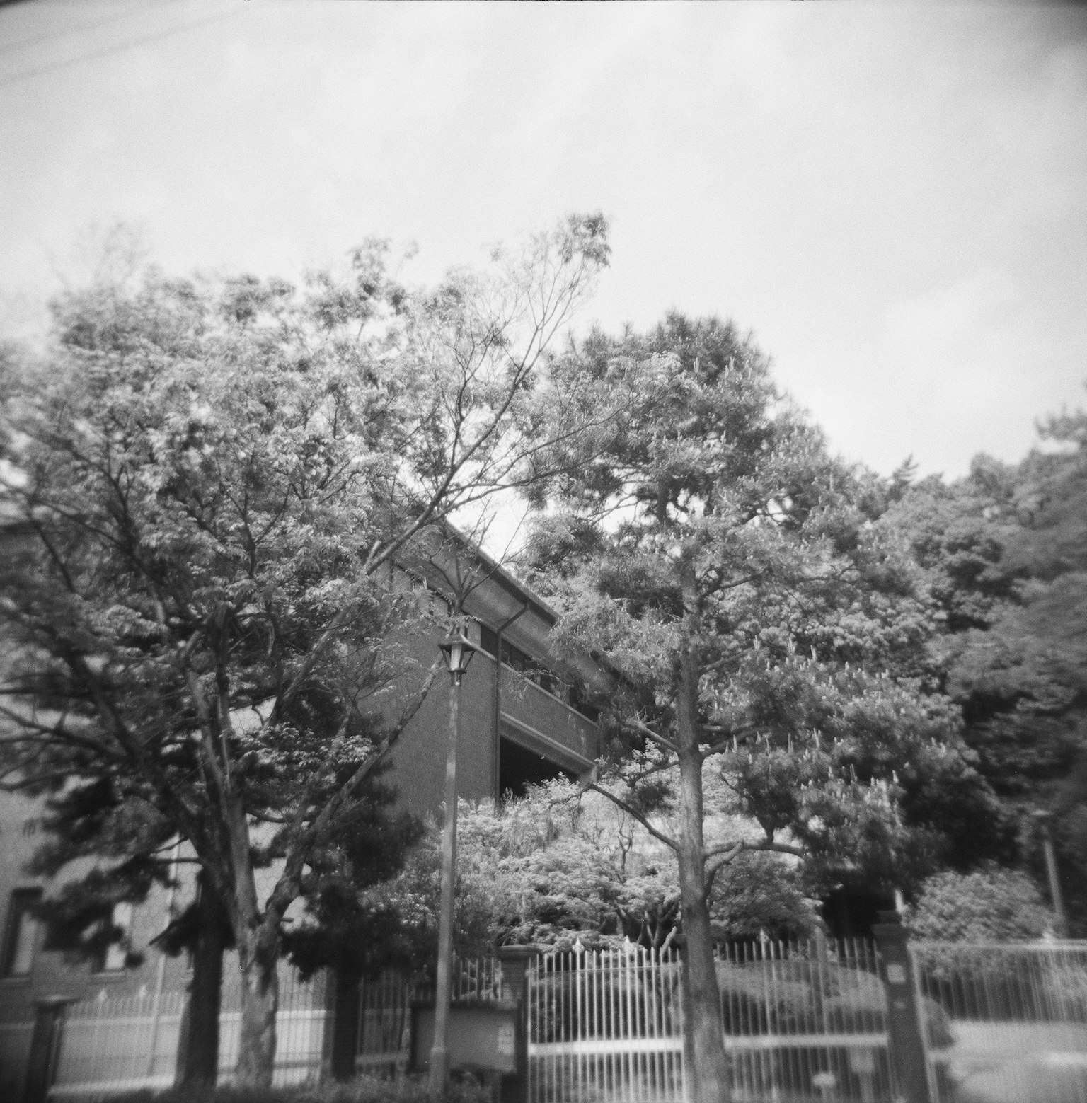 黑白照片，建築物被樹木和圍籬包圍