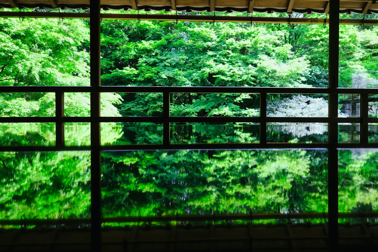 Un espacio sereno con árboles verdes exuberantes reflejados en la ventana