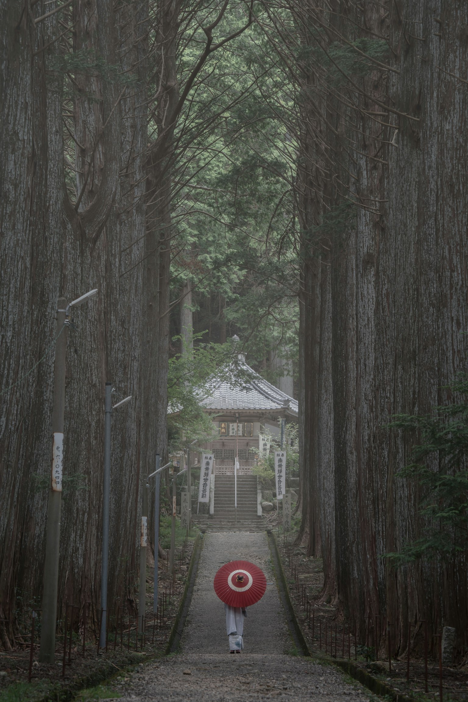 杉の木に囲まれた静かな小道の先にある神社と赤い傘を持つ人物