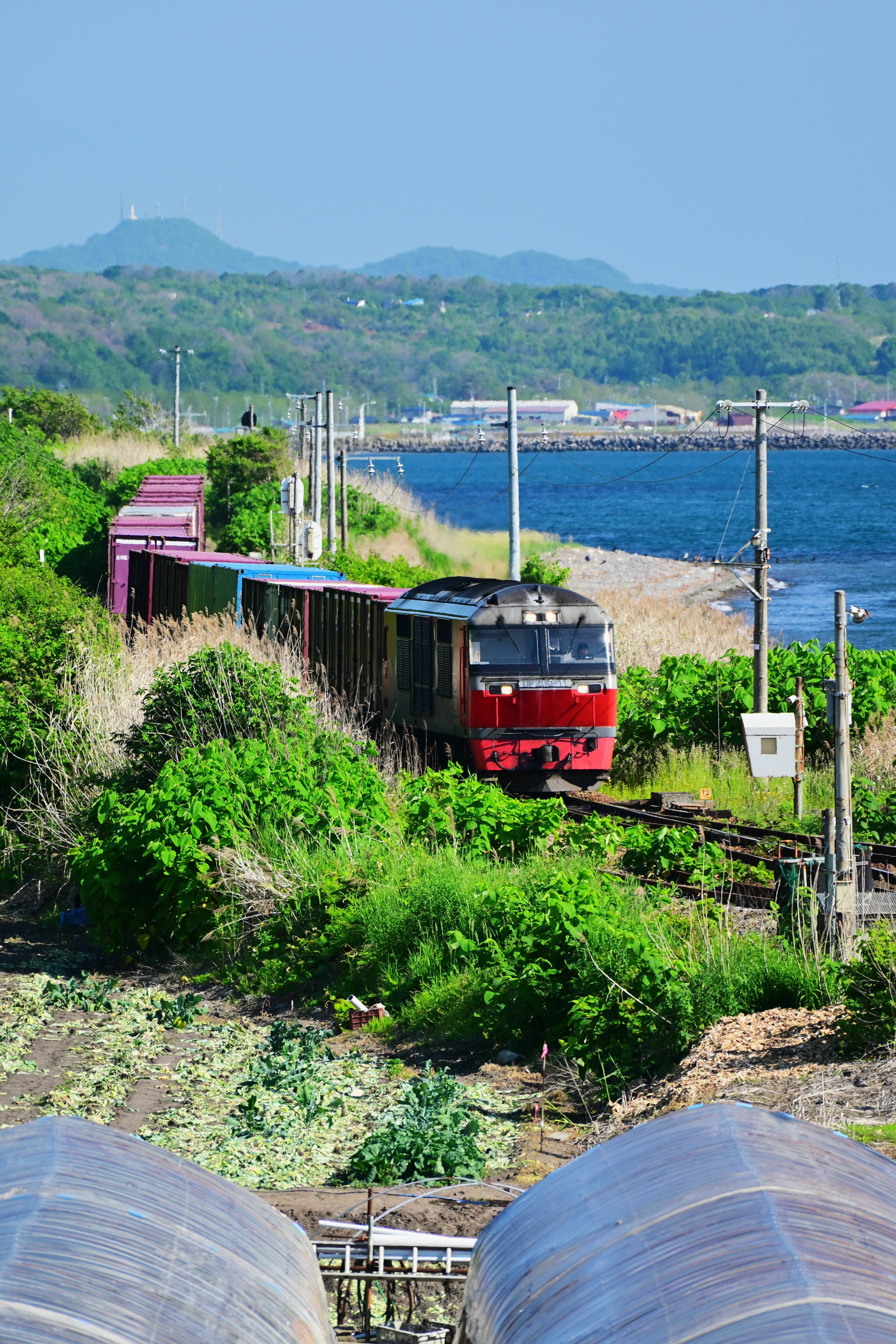 海岸沿いを走る赤い列車と緑の風景