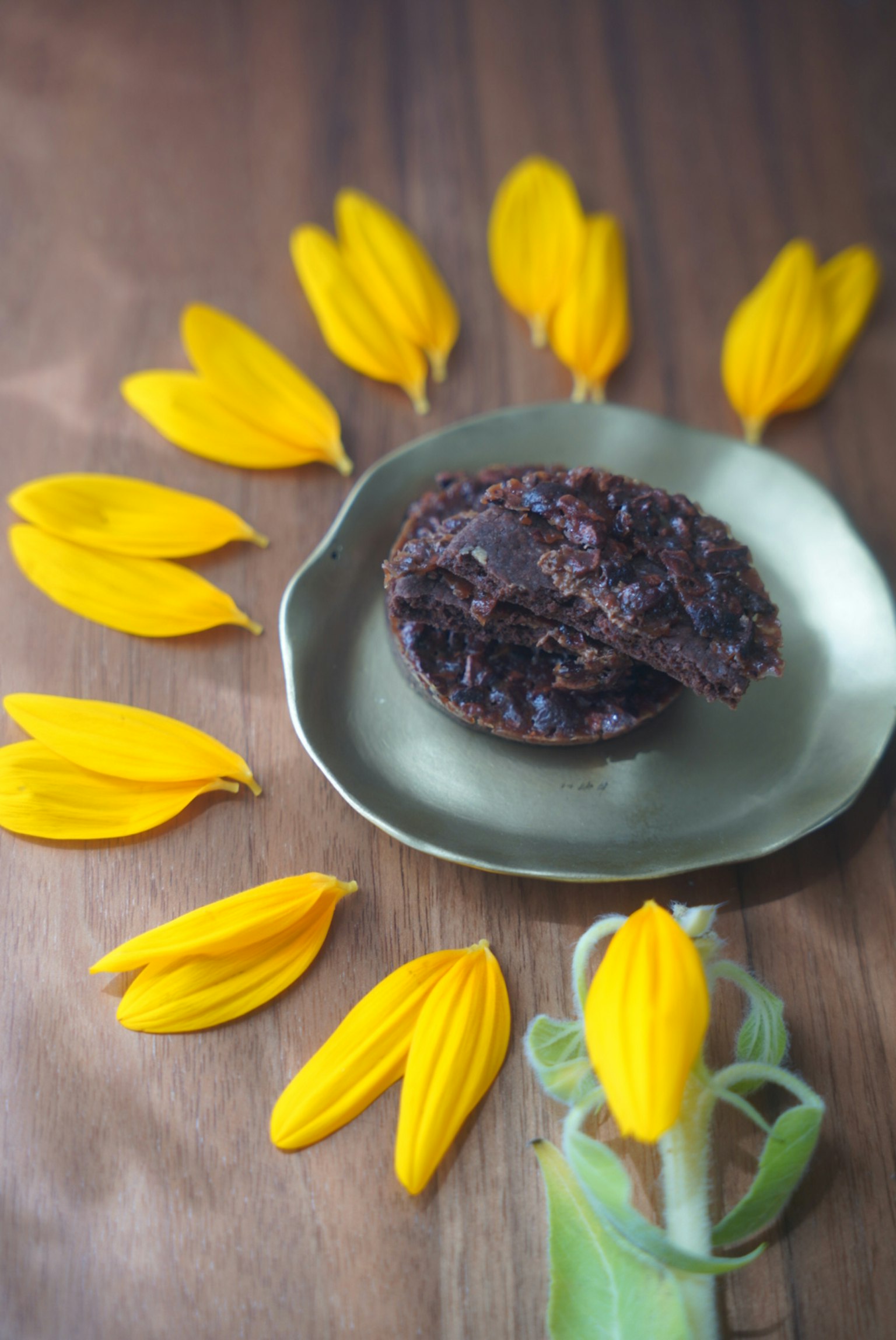 Pastel de chocolate en un plato verde rodeado de pétalos de flores amarillas