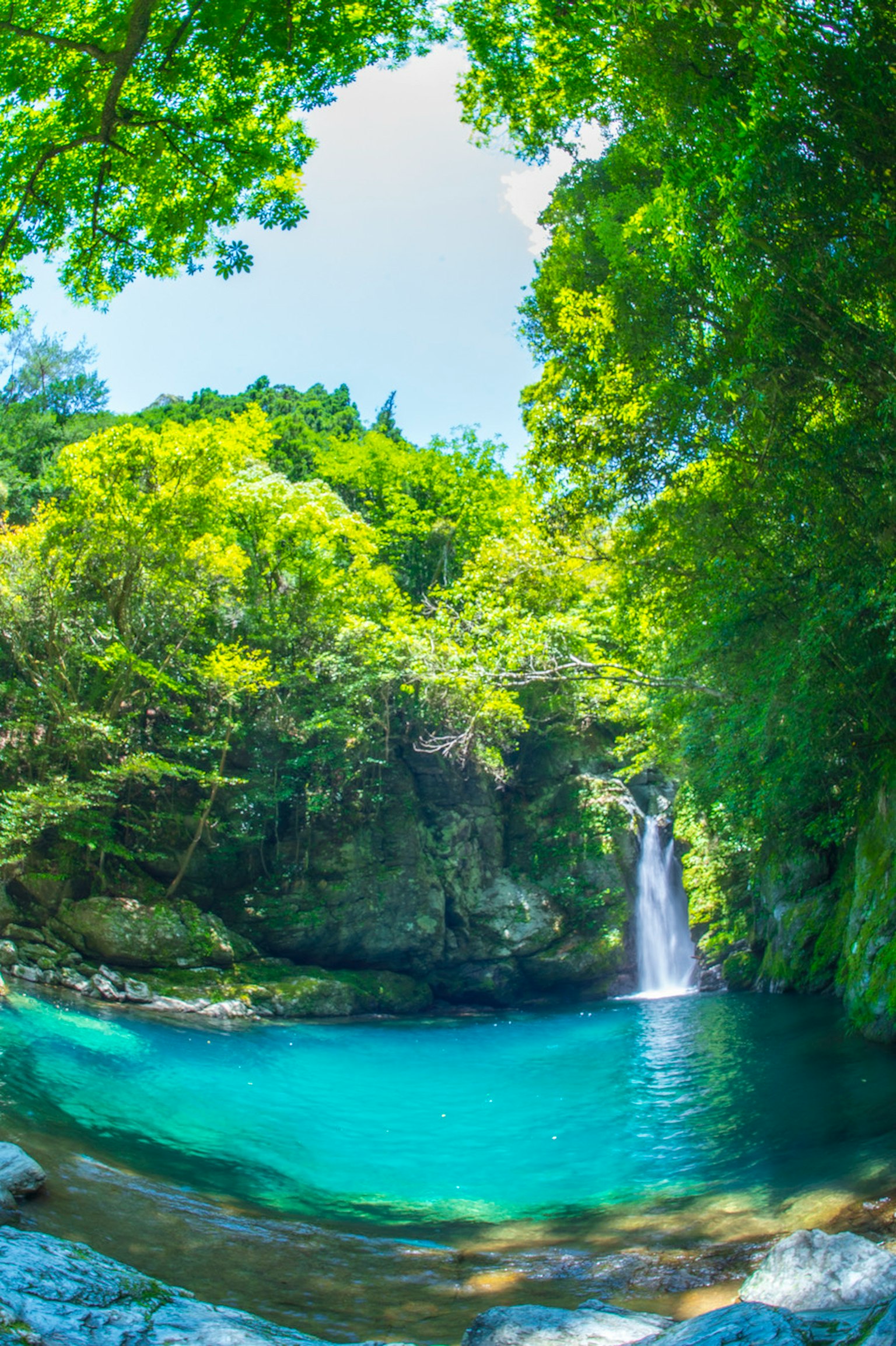 Schöner Wasserfall umgeben von üppigen grünen Bäumen und klarem blauem Wasser