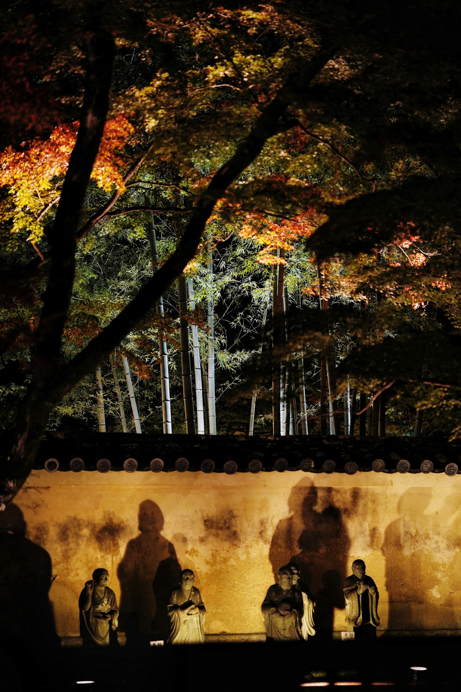 Scène nocturne avec des feuilles d'automne illuminées et des sculptures ombragées