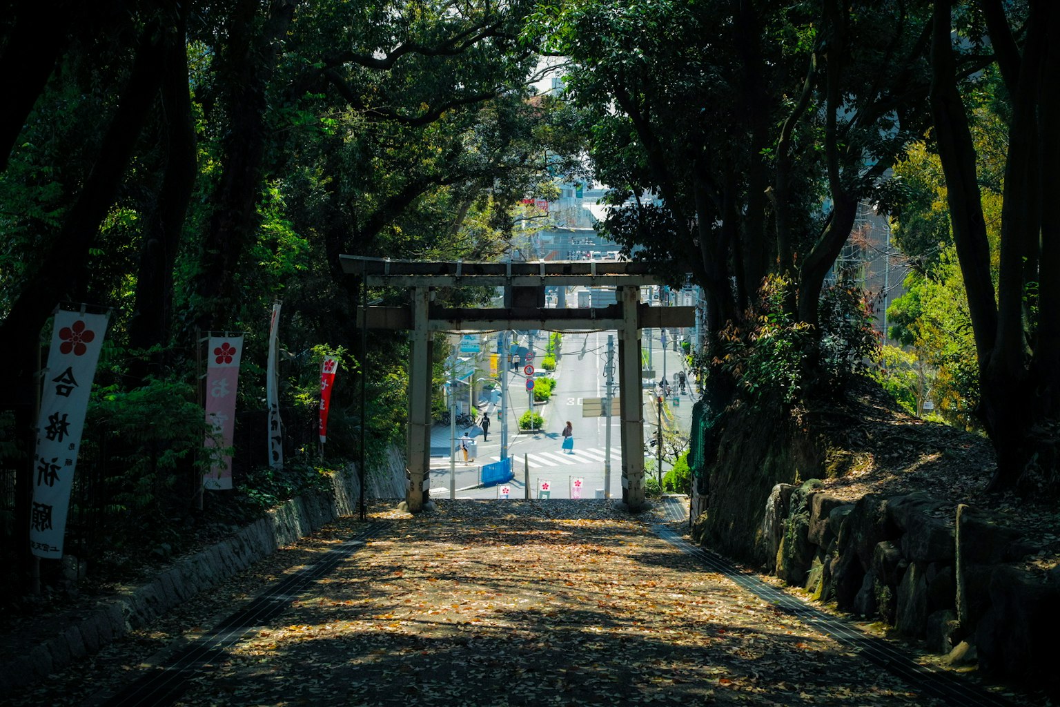 Weg, umgeben von Bäumen, der zu einem Torii und einer fernen Stadtlandschaft führt