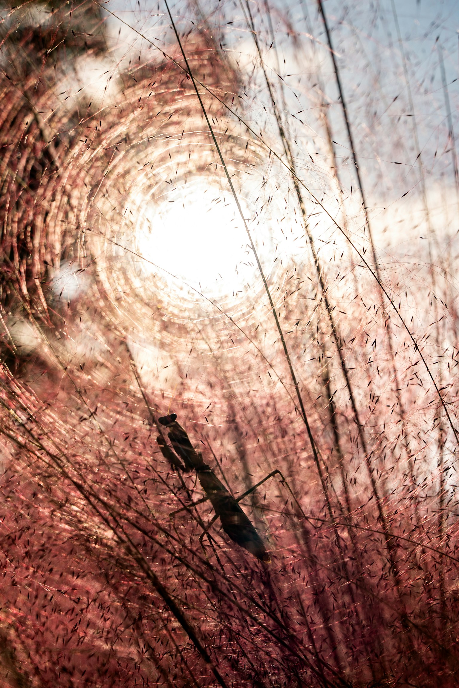 photo-bkVWy48pttFg1uY0RxyW-image