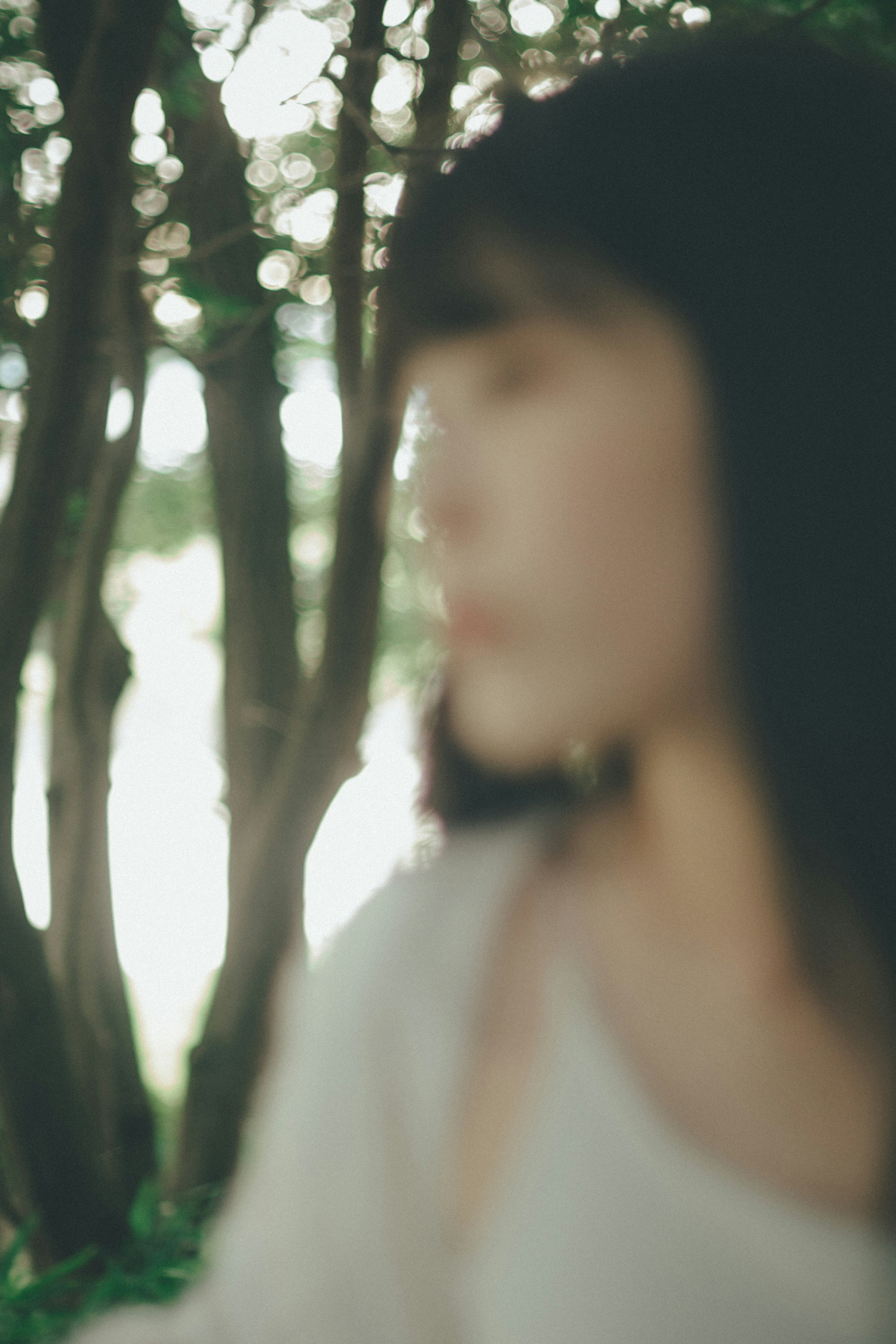木々の間の柔らかな光の中に佇む女性