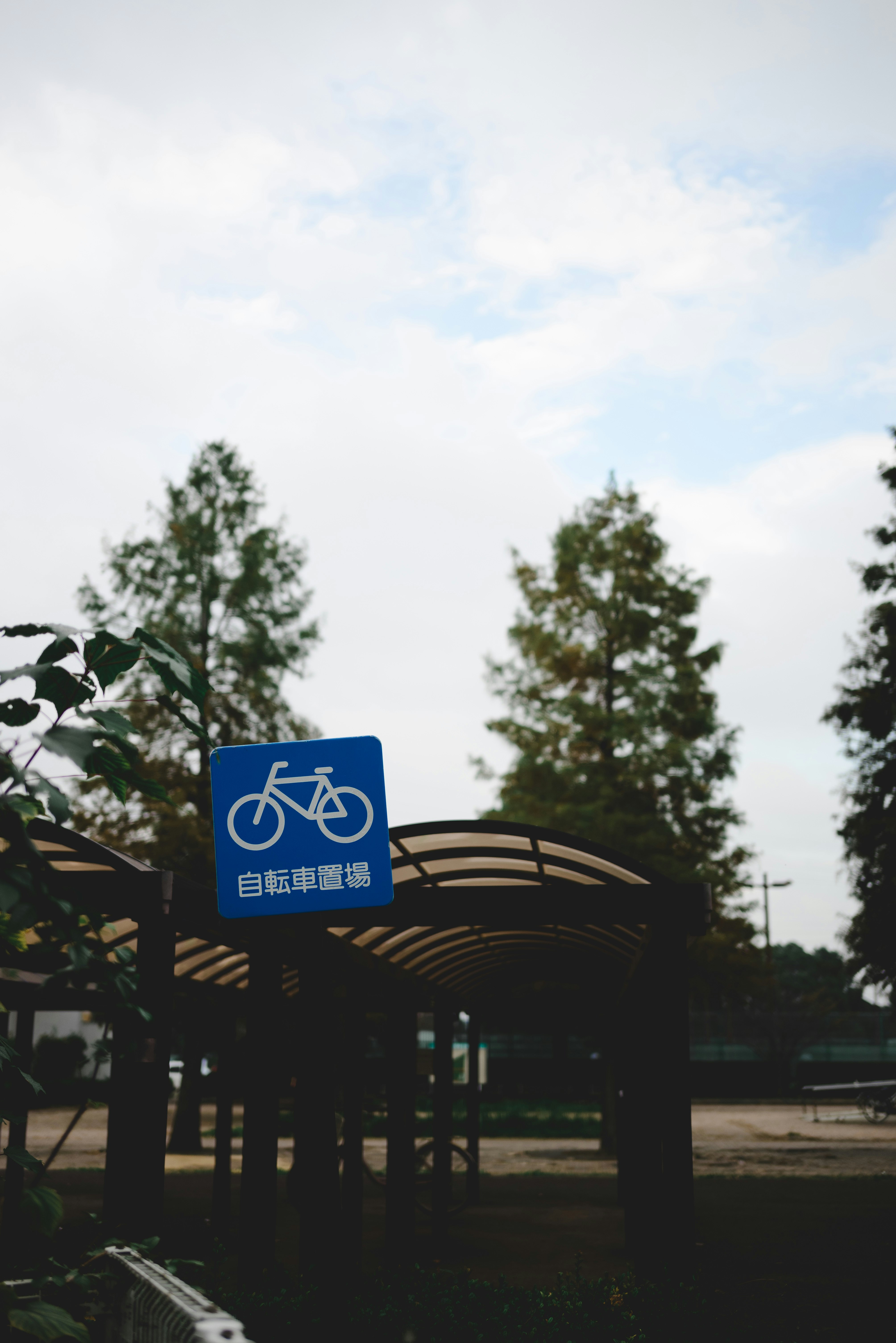 户外道路上的自行车道标志