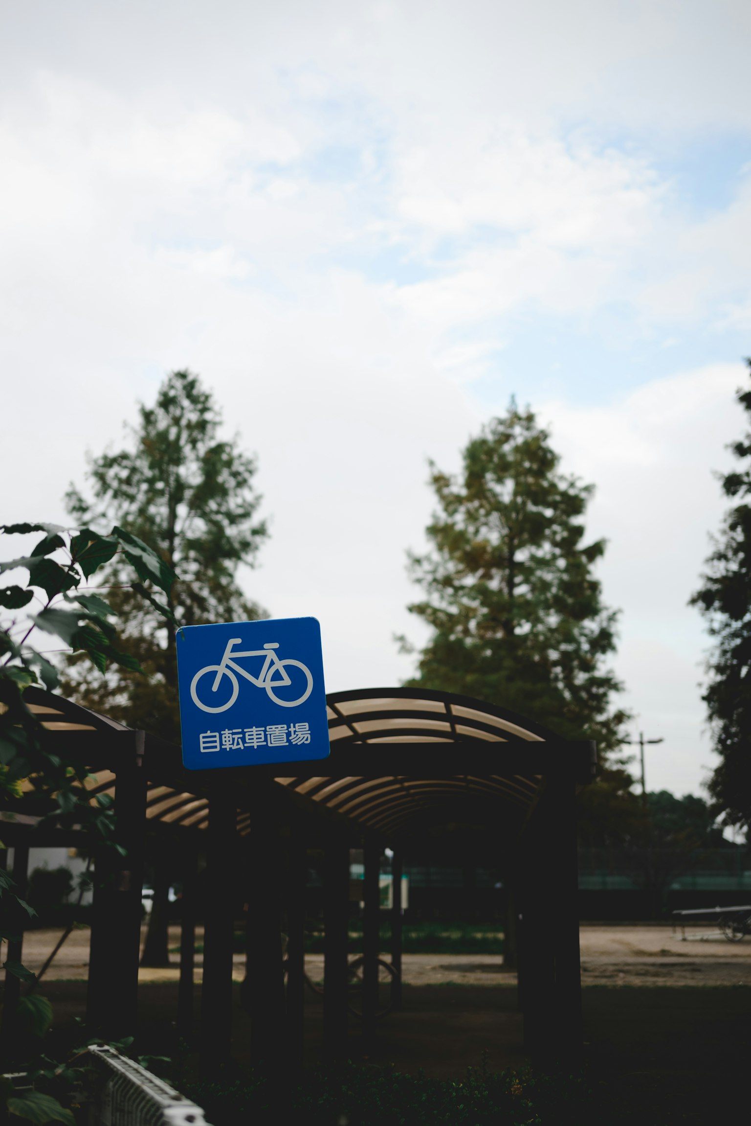 Park scene with a bicycle sign