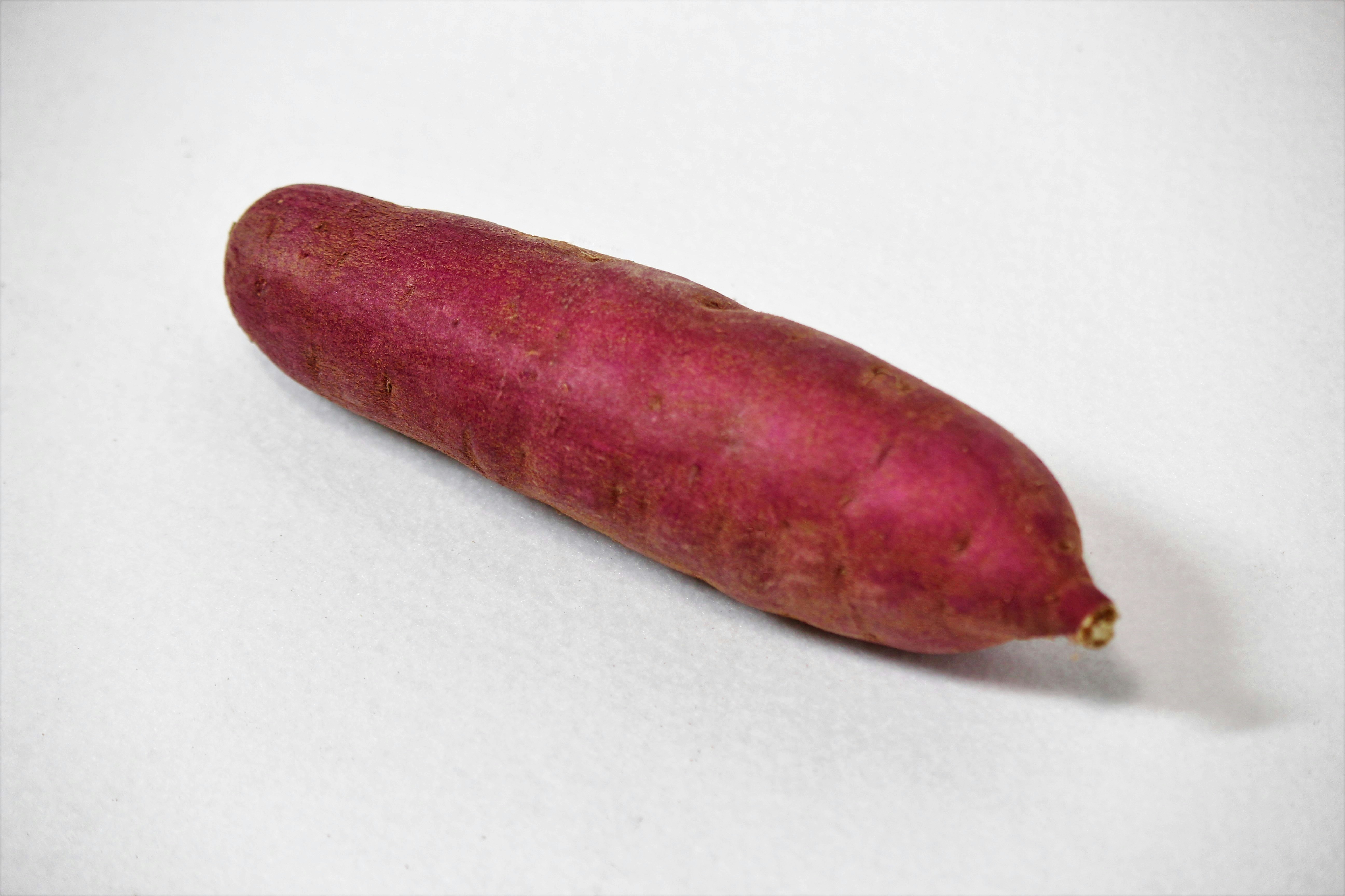 Purple sausage on a white background