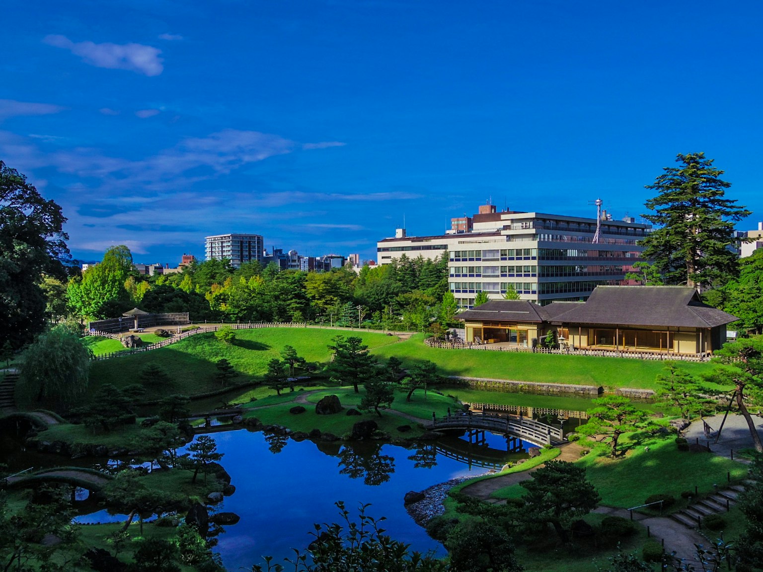 Jardín japonés pintoresco con estanque bajo un cielo azul