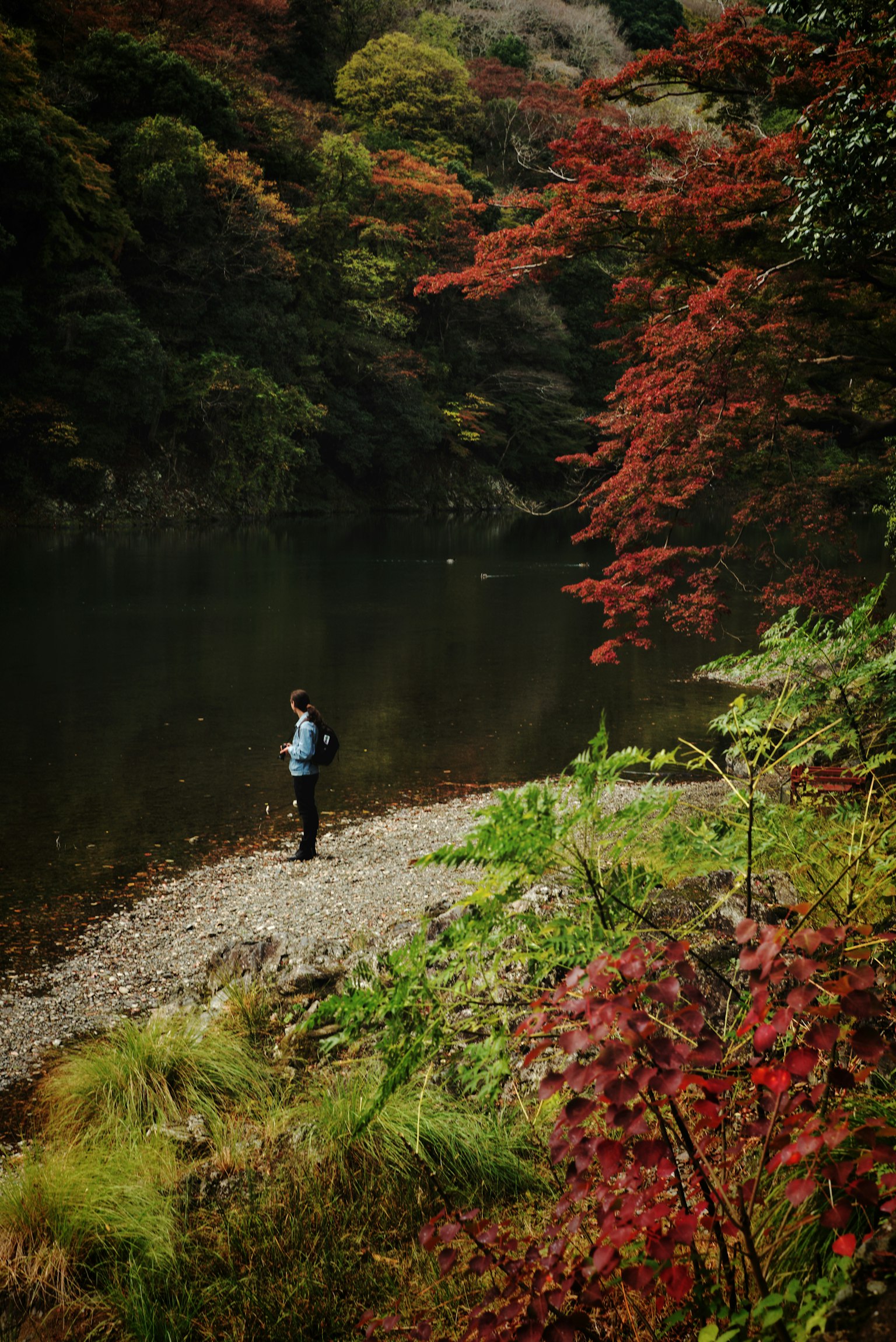 川のほとりに立つ人物と色づいた木々の風景