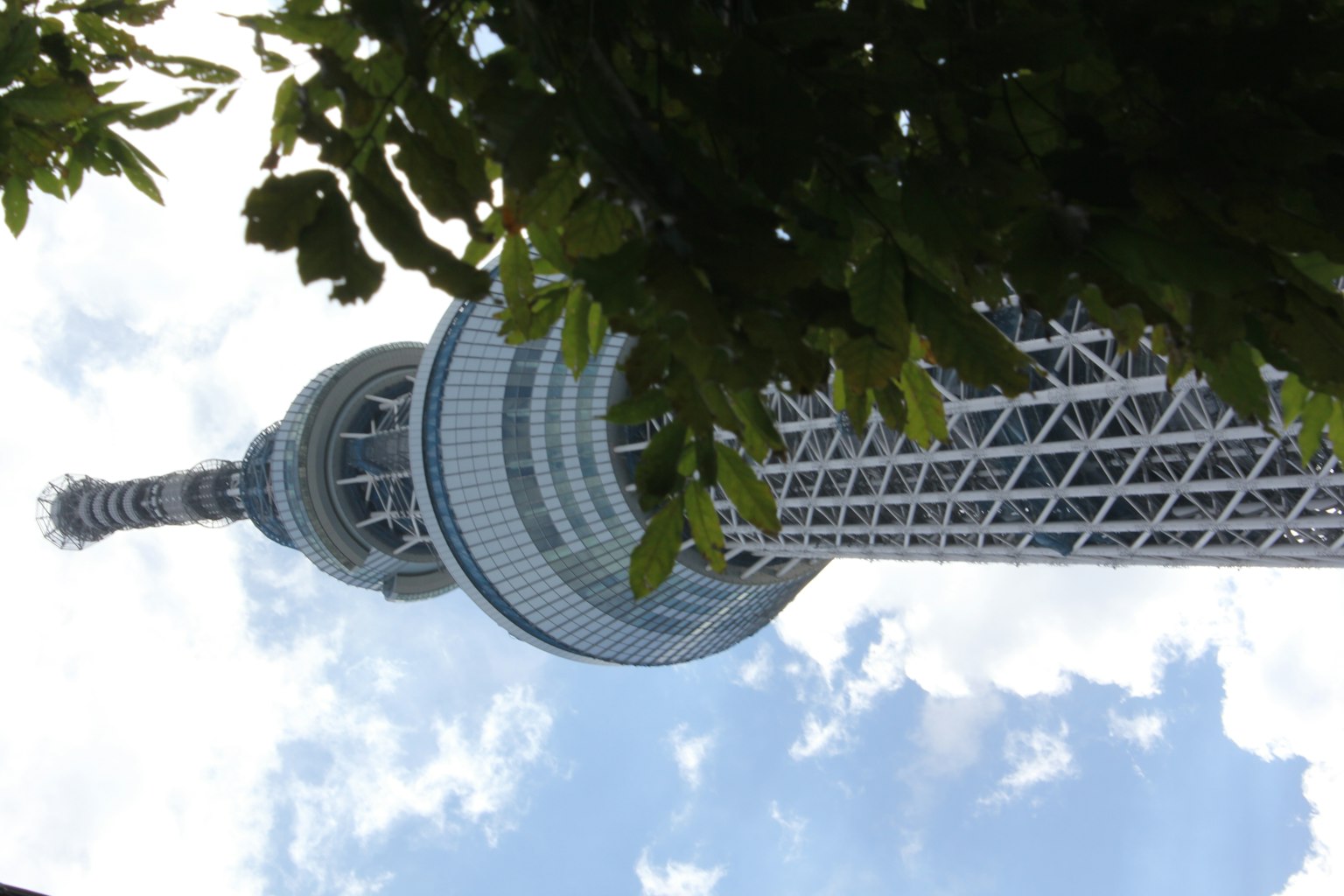 Torre Tokyo Skytree circondata da foglie verdi e cielo blu