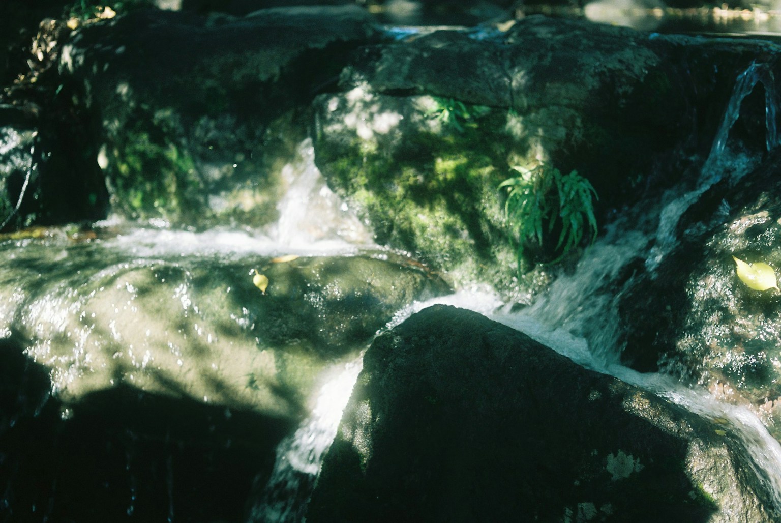 Paysage rocheux avec de l'eau qui coule et un feuillage vert