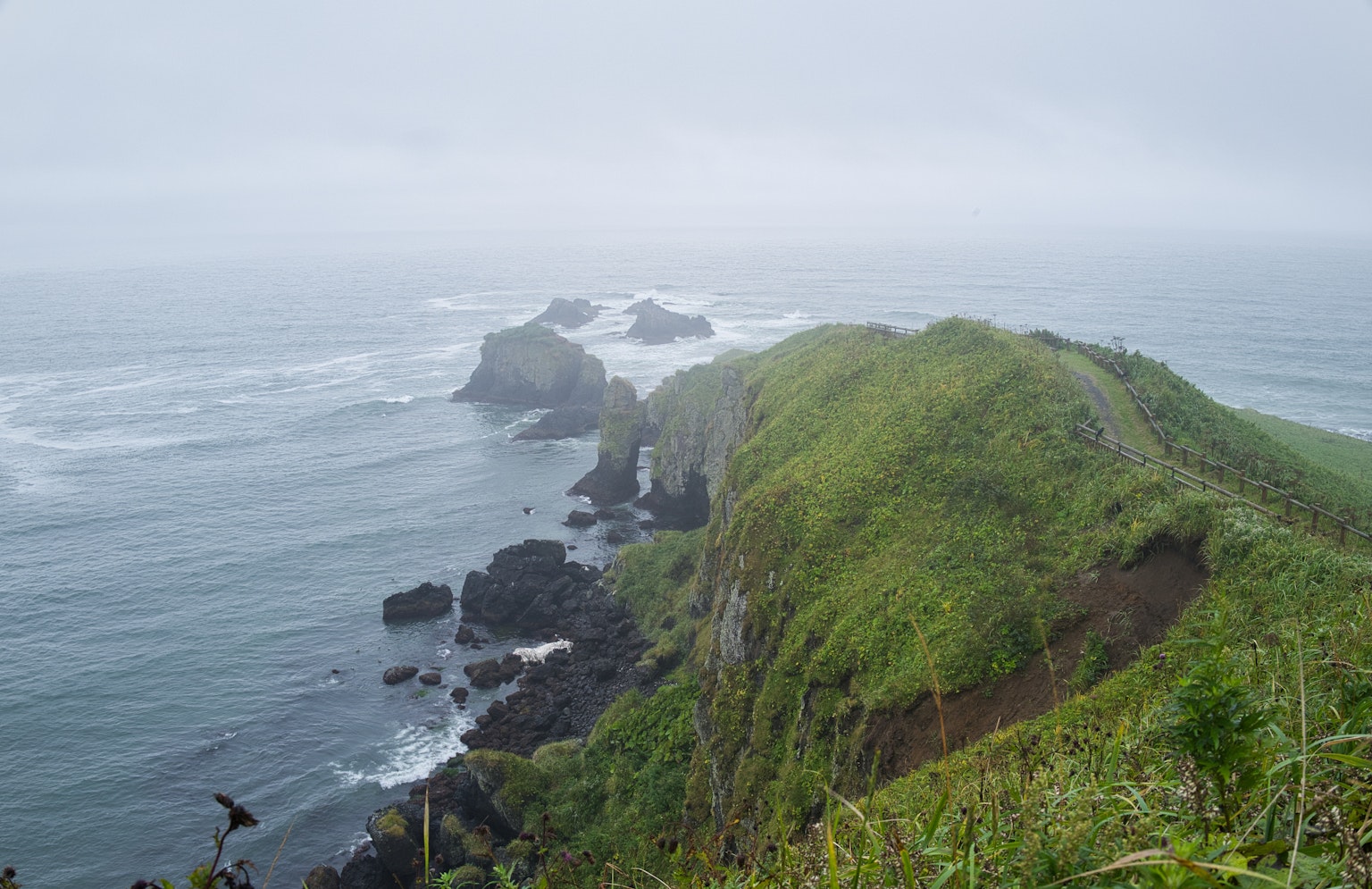 霧氣籠罩的綠色山丘俯瞰海洋