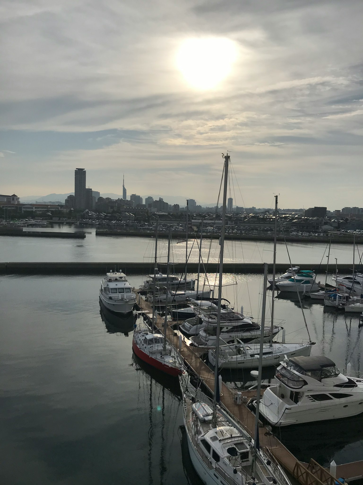 寧靜的海濱景色，背景是船隻和城市天際線