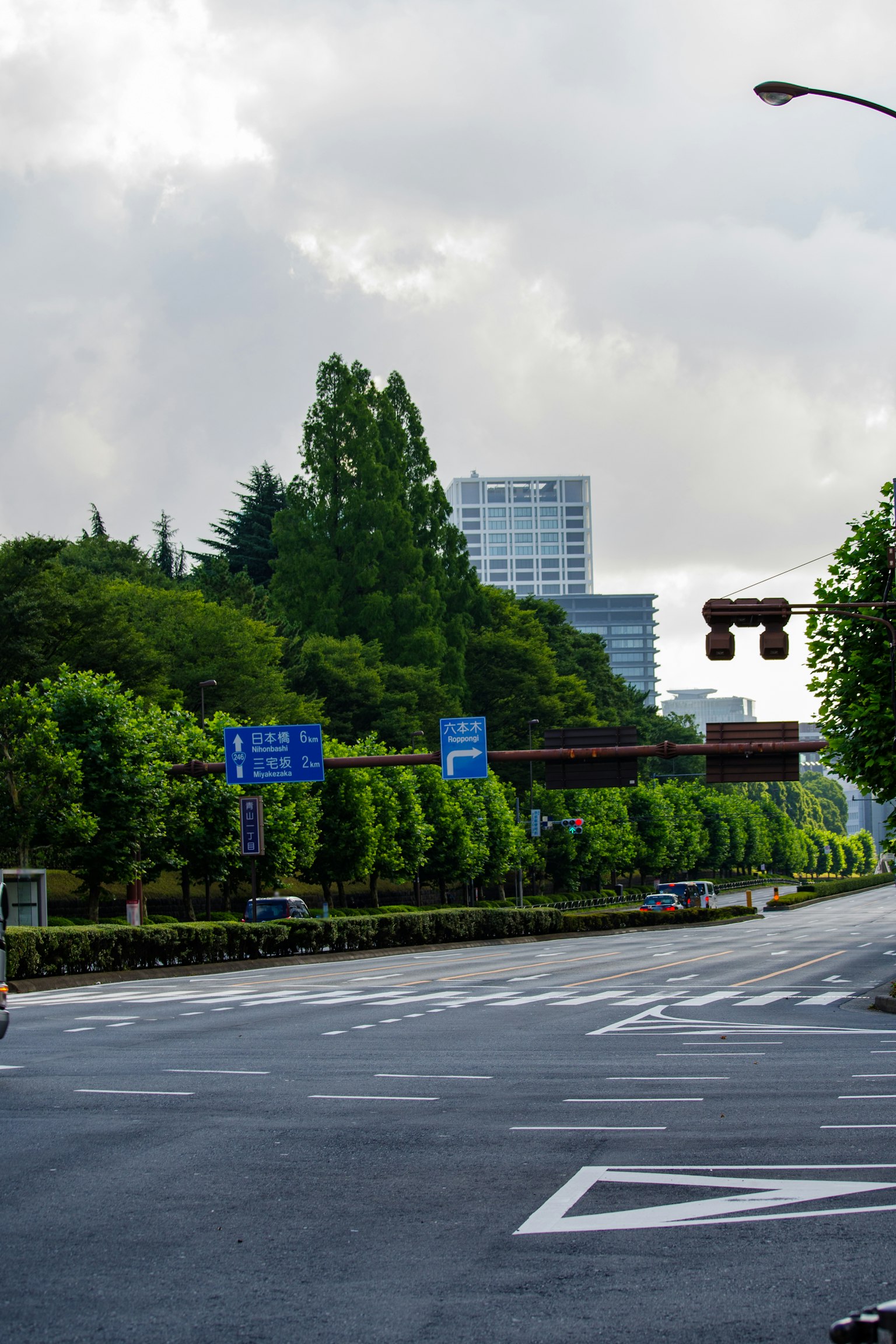 Paysage urbain avec une végétation luxuriante et des immeubles de grande hauteur