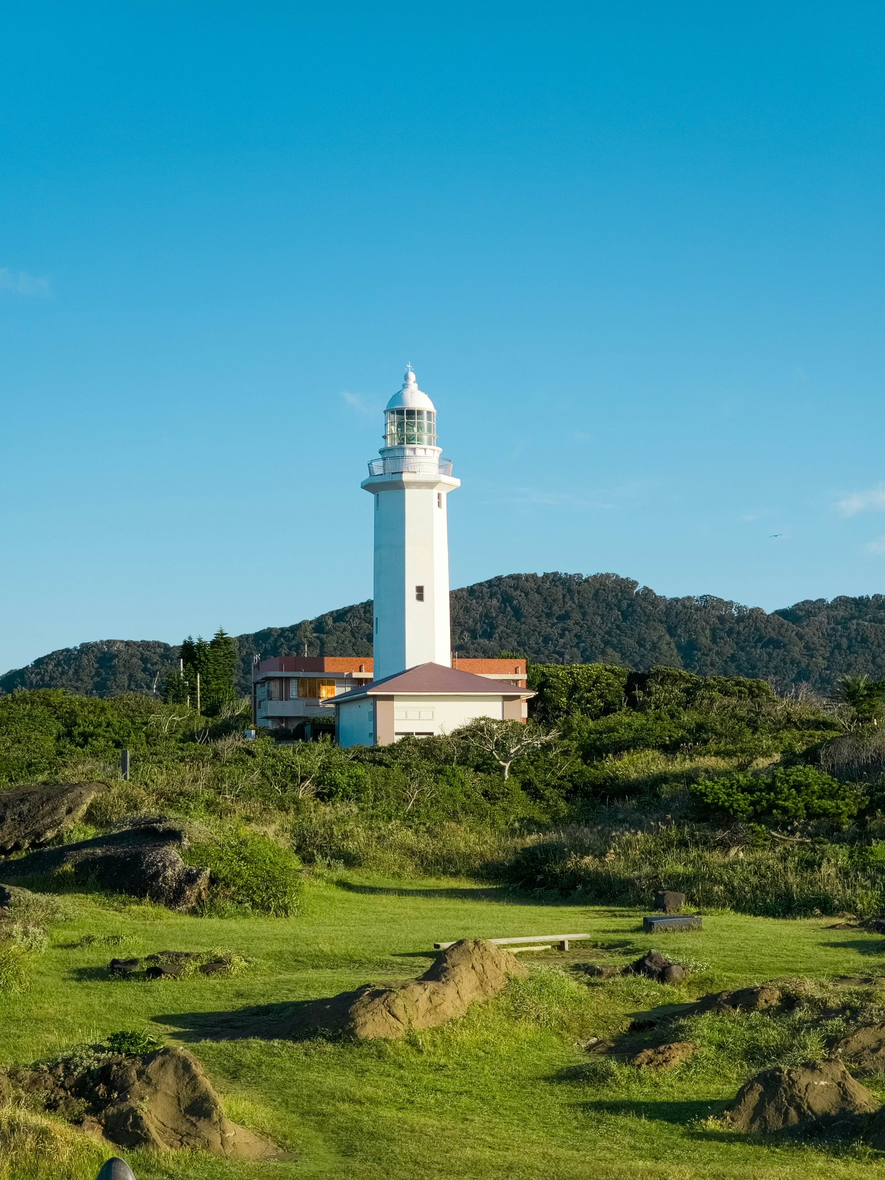 野島崎灯台と緑の丘のある海岸風景