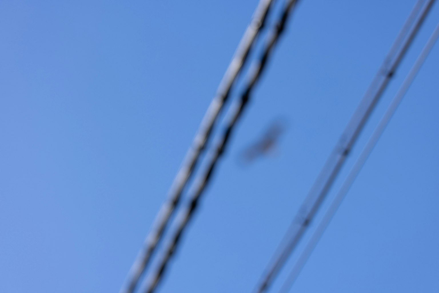 photo-bpABJQvtP0Xe269qx4Fw-image