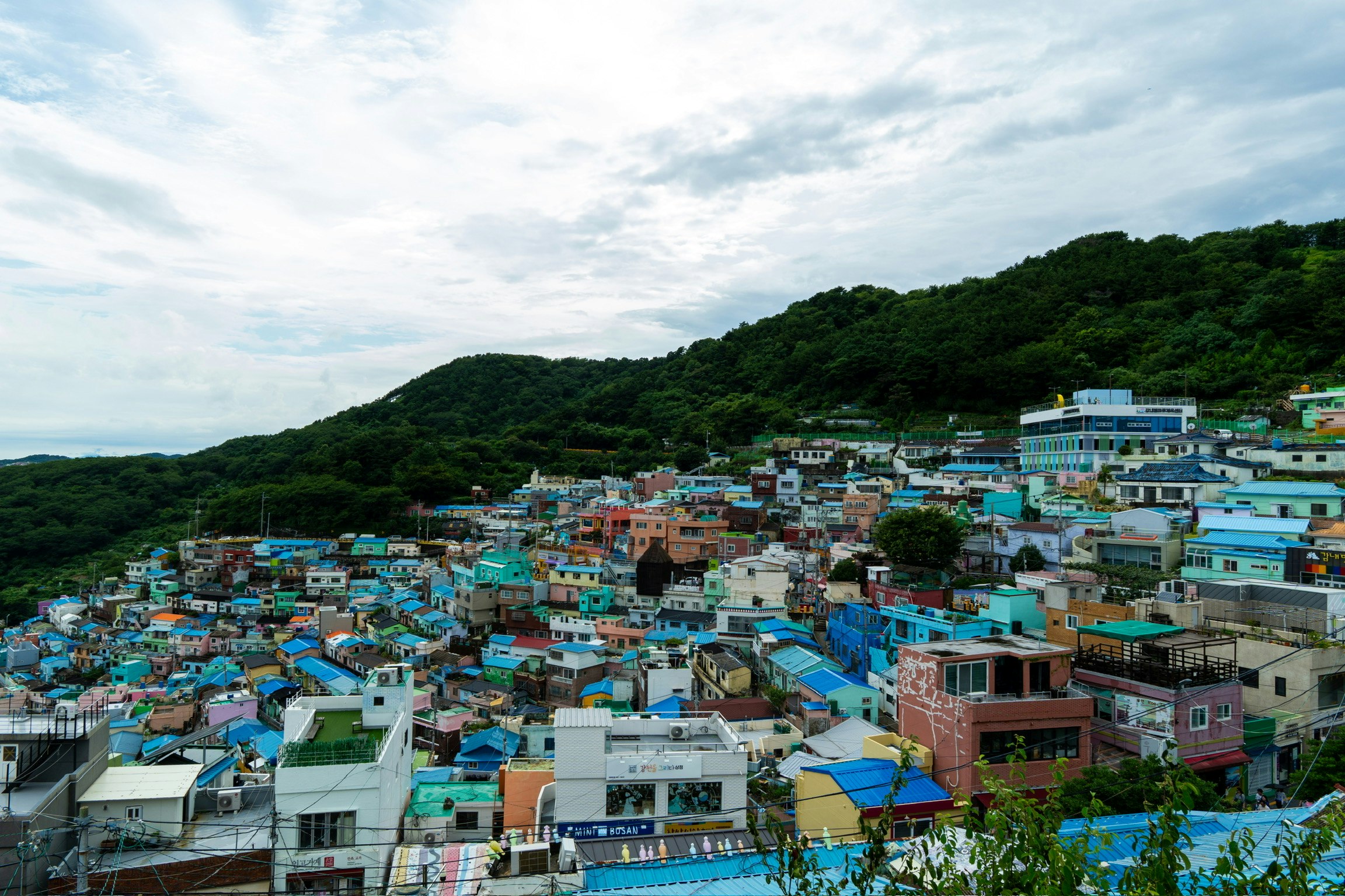 色彩斑斓的屋顶与房屋构成的海边城镇景观