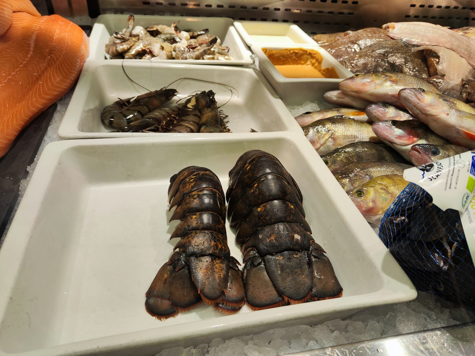Trưng bày hải sản tươi sống với tôm hùm, tôm và nhiều loại cá