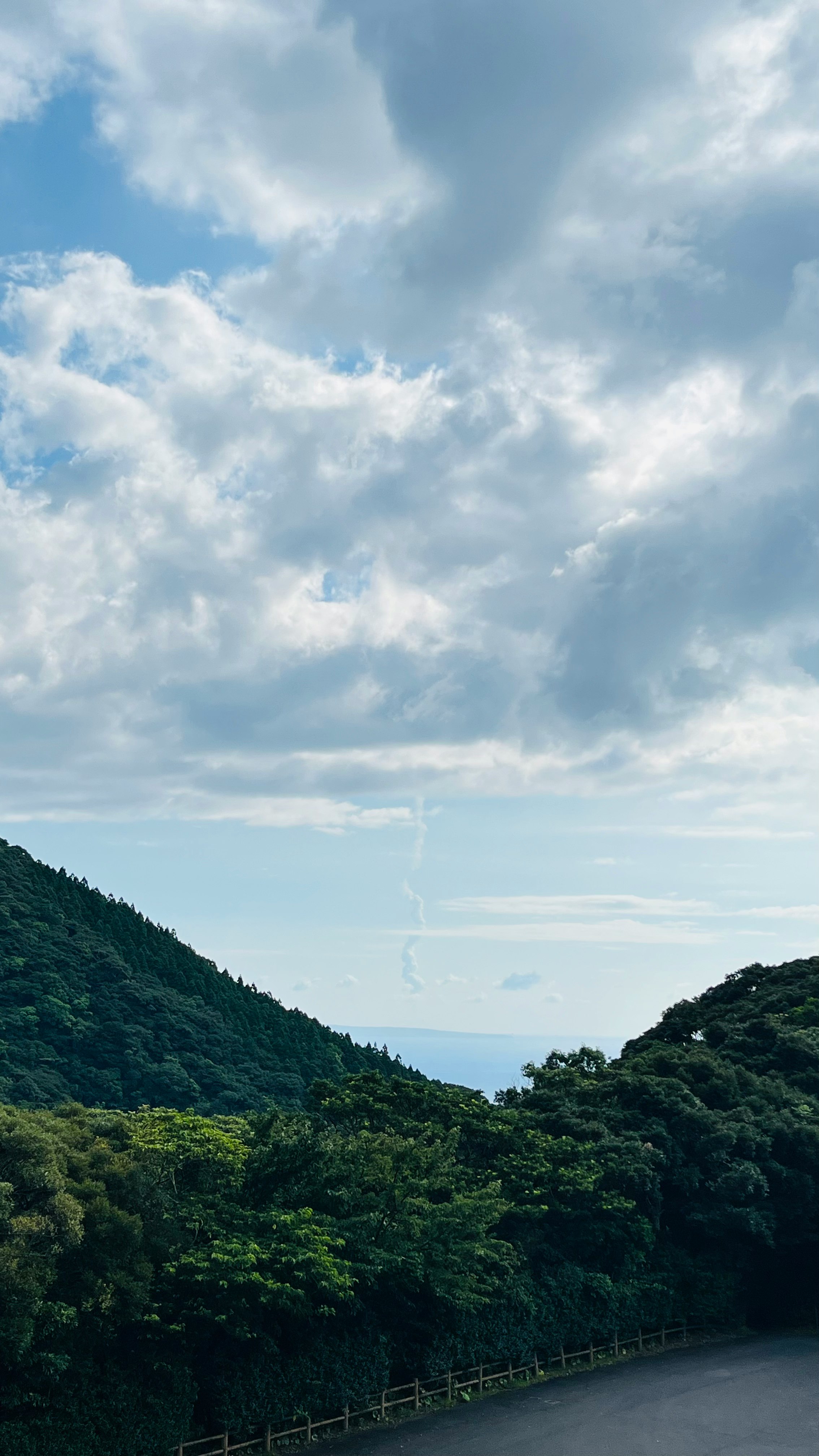 緑の山並みと森に囲まれた道のある風景