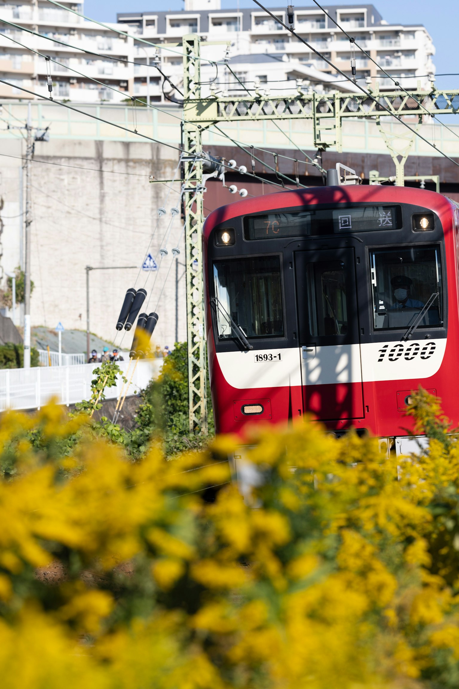 Kereta merah melewati bunga kuning