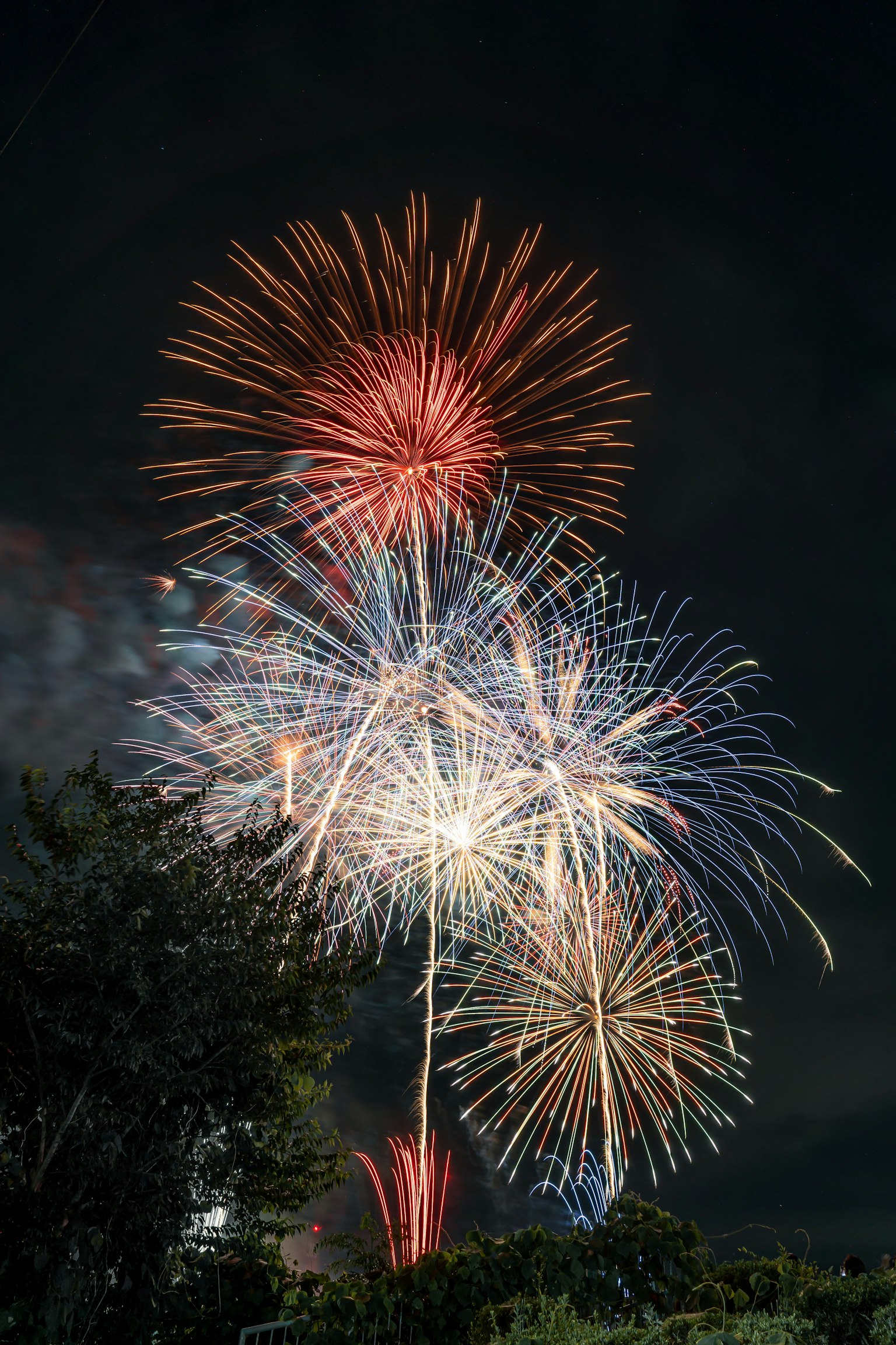Fuegos artificiales coloridos estallando en el cielo nocturno