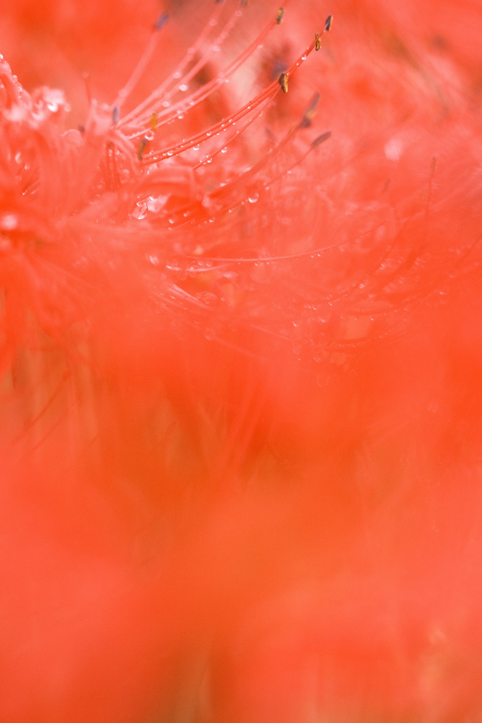 photo-brBZuoRFtJ8zspXN3GZX-image