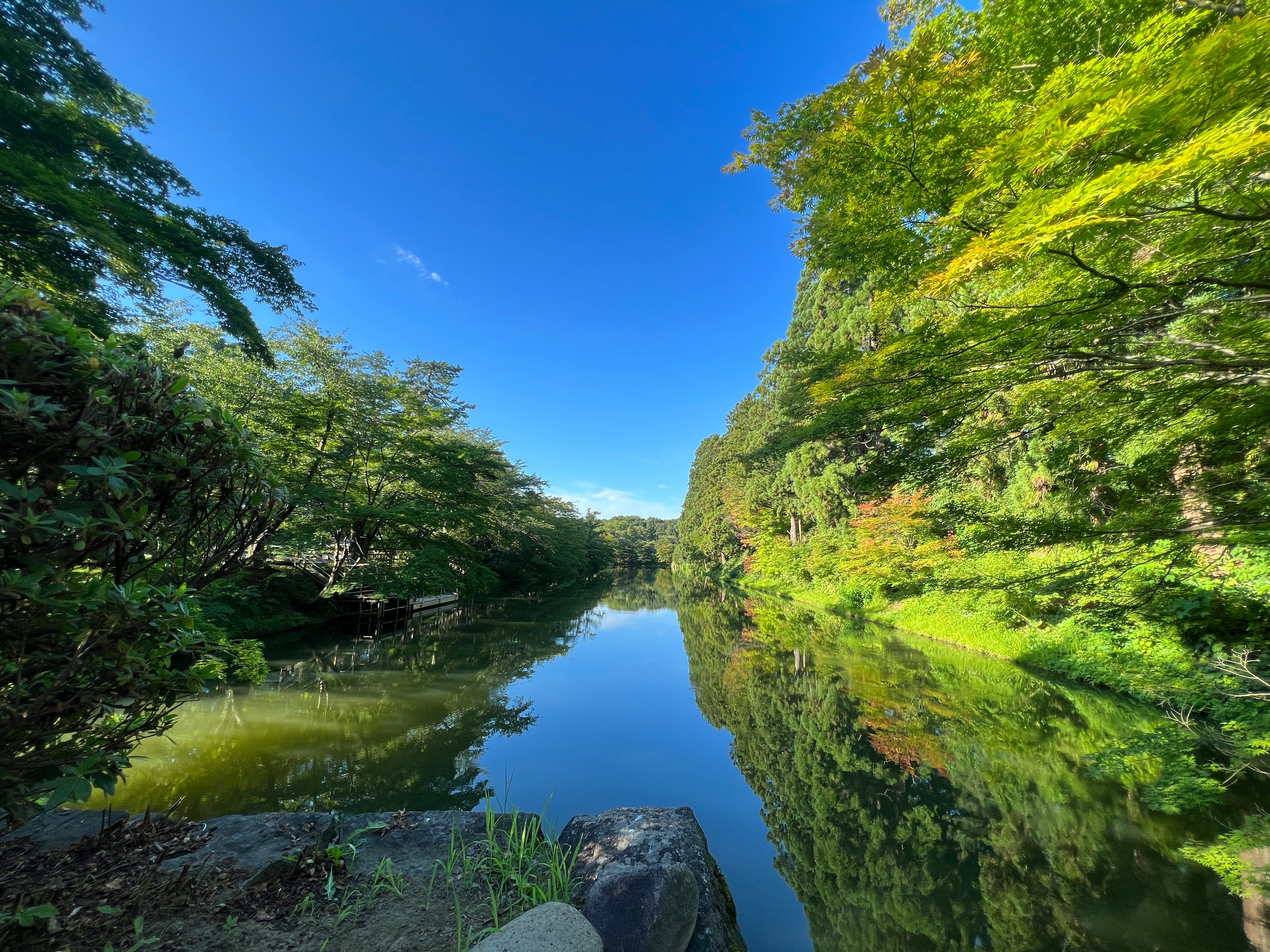 川沿いの緑に囲まれた静かな水面の風景
