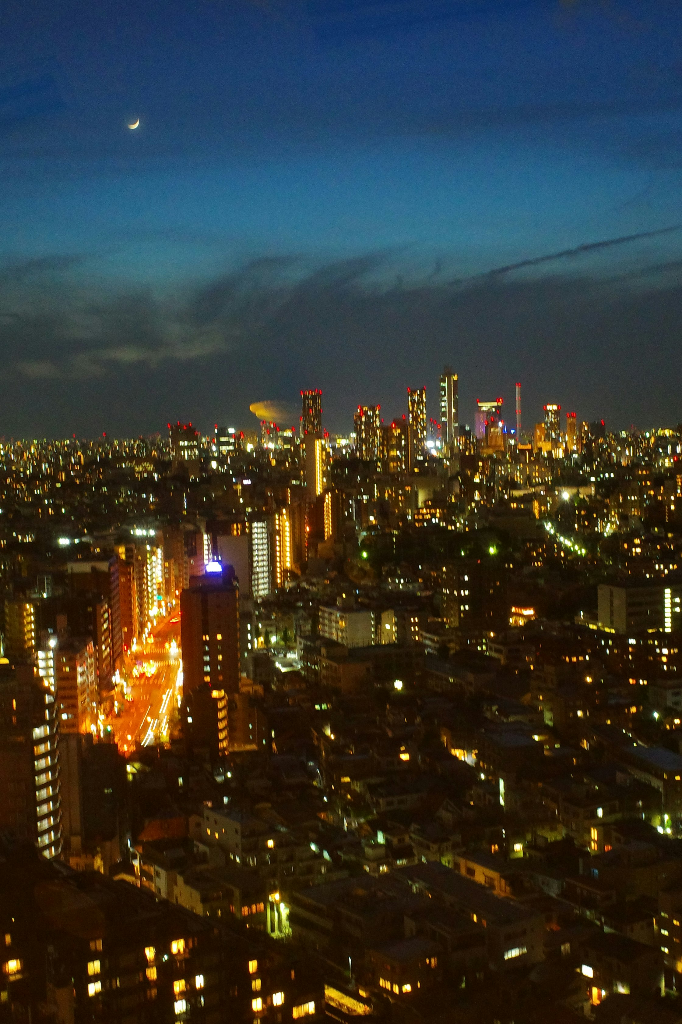夜景の高層ビル群と街の光が広がる都市の眺望