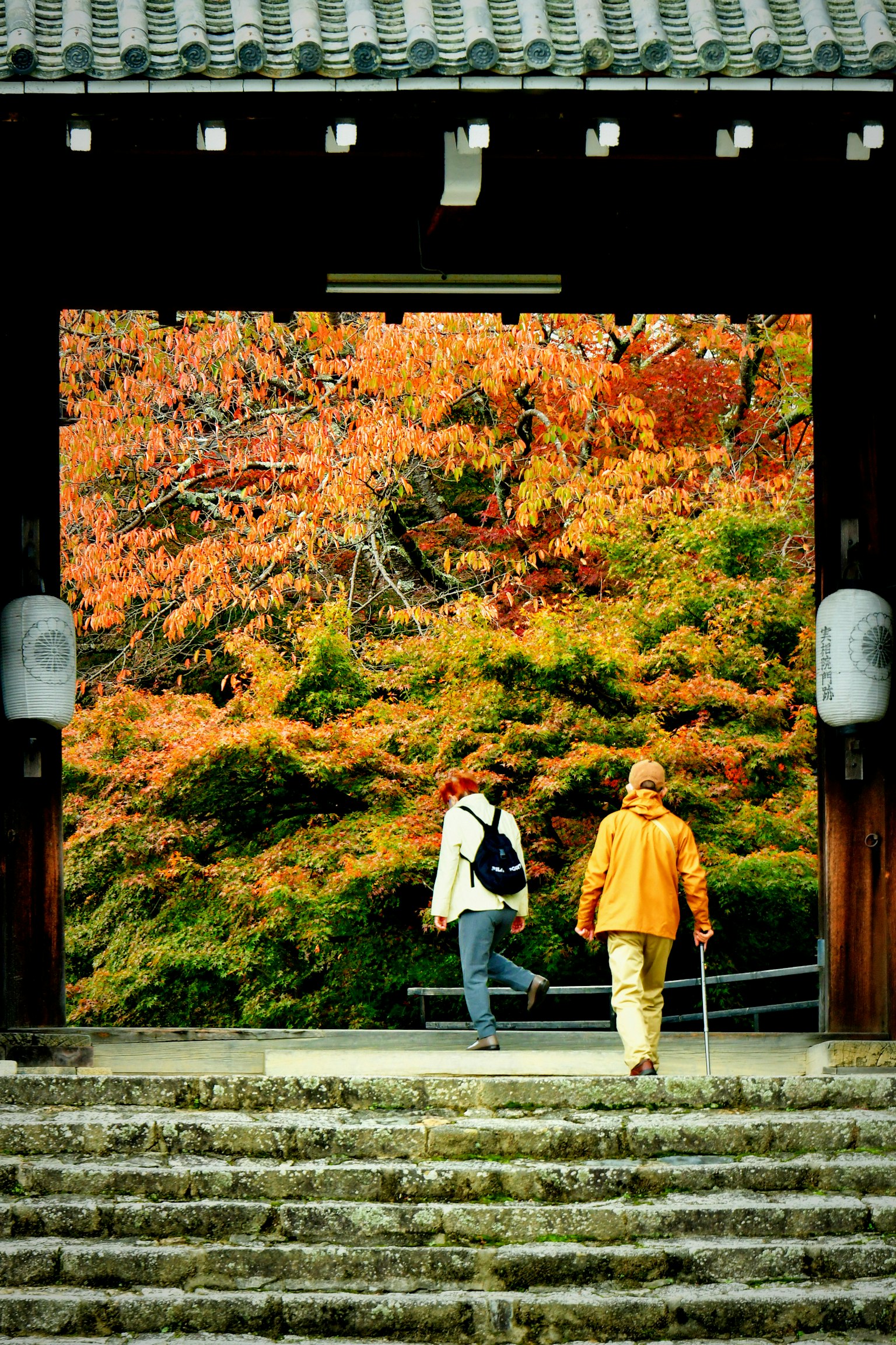 紅葉の中を歩く二人の人物が見える門の風景