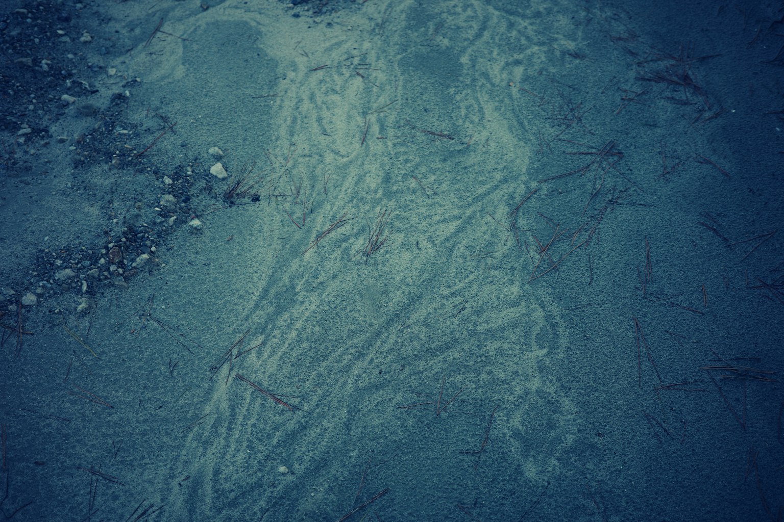 Motif abstrait dessiné dans le sable avec des détails complexes