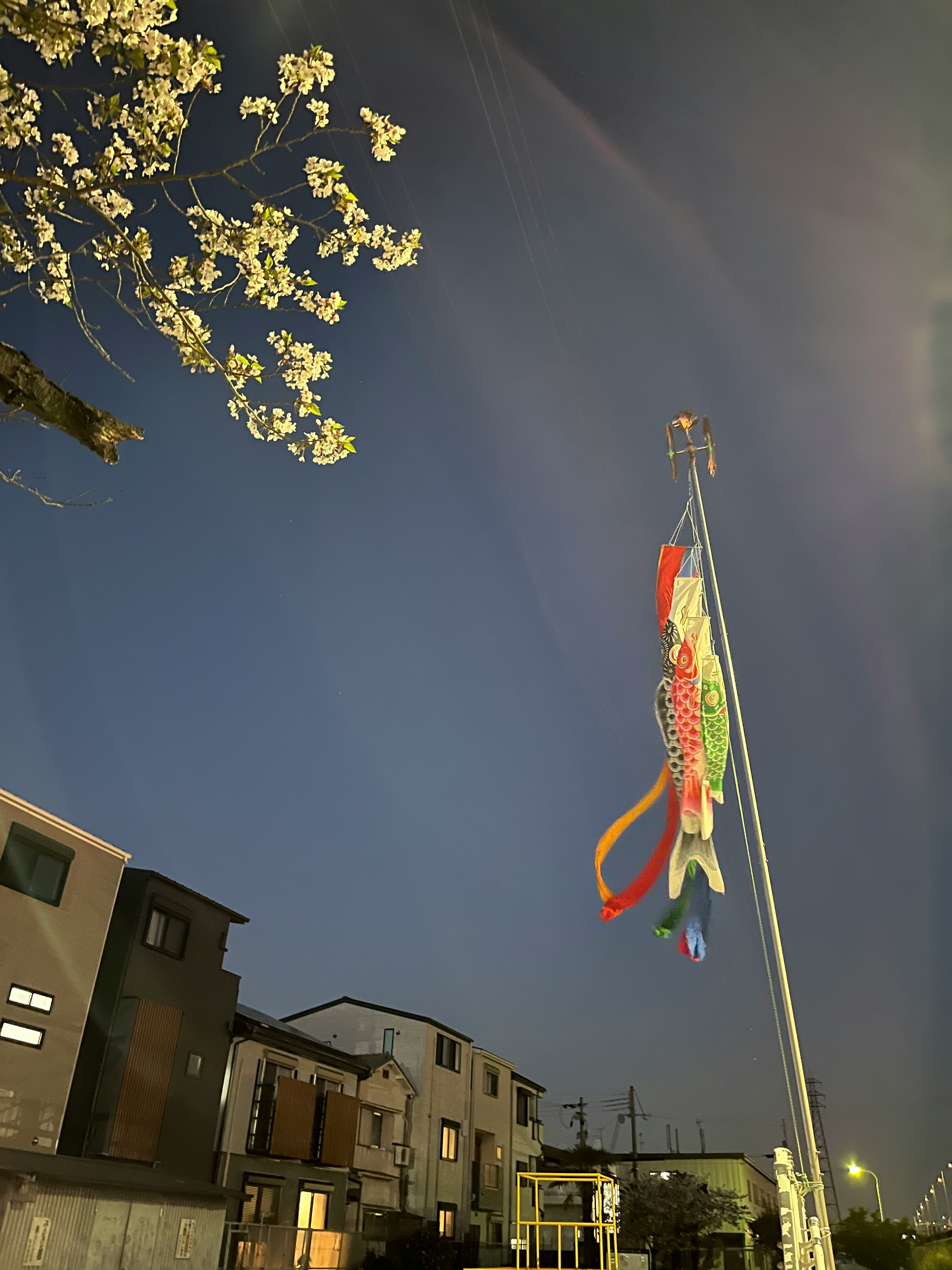 夜空に泳ぐ鯉のぼりと街並みのある住宅街の空