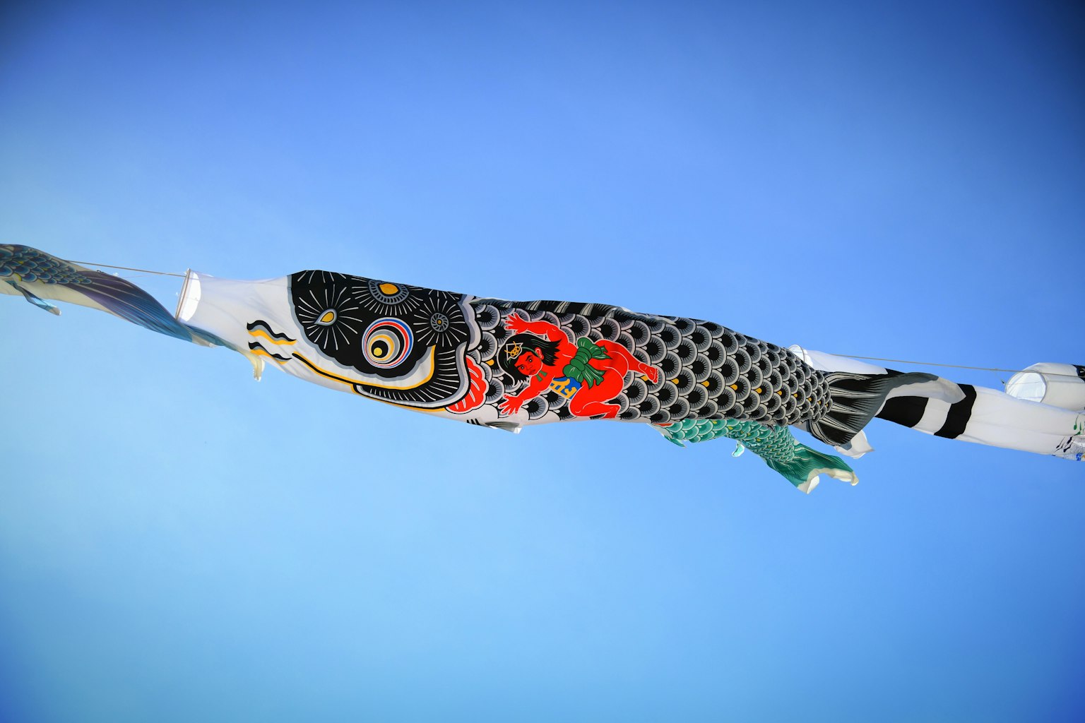 Koi nobori colorato che vola nel cielo blu