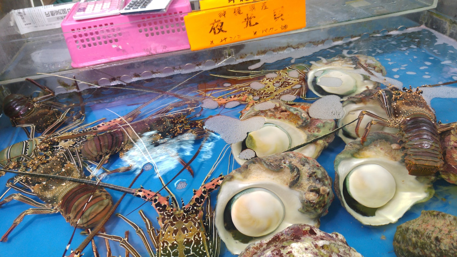 A seafood market display featuring fresh lobsters and clams in a tank