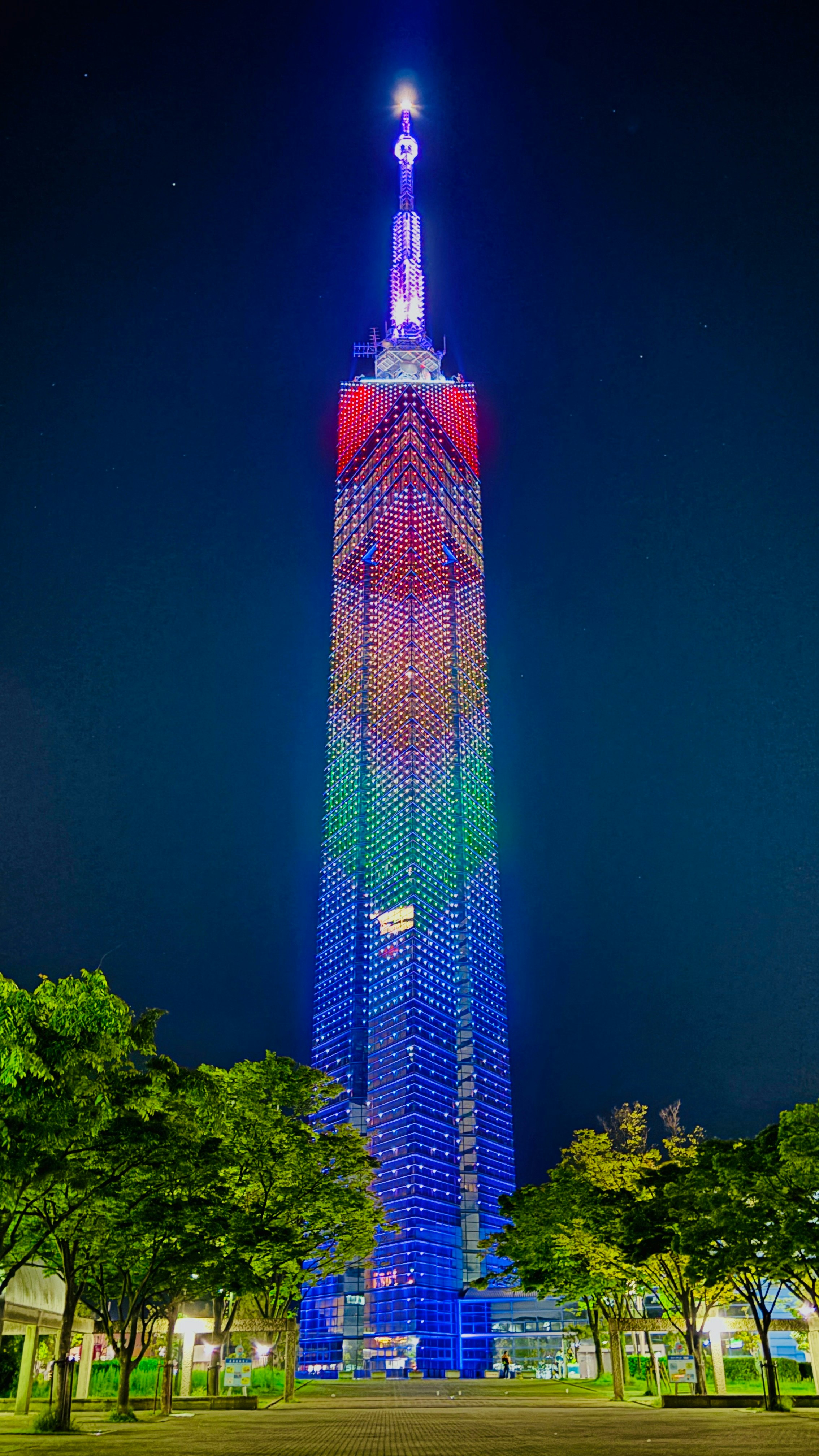 夜の福岡タワーのイルミネーション画像