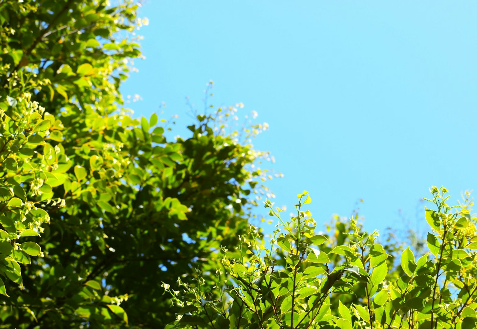 photo-btqxJoPIpfo4JQwQ3Ux4-image