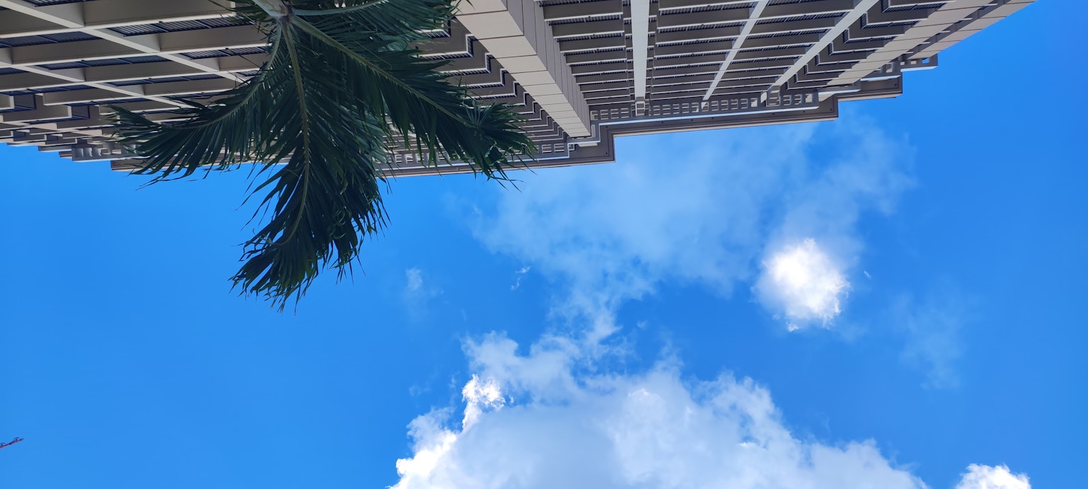 建筑和棕榈树在蓝天和白云下